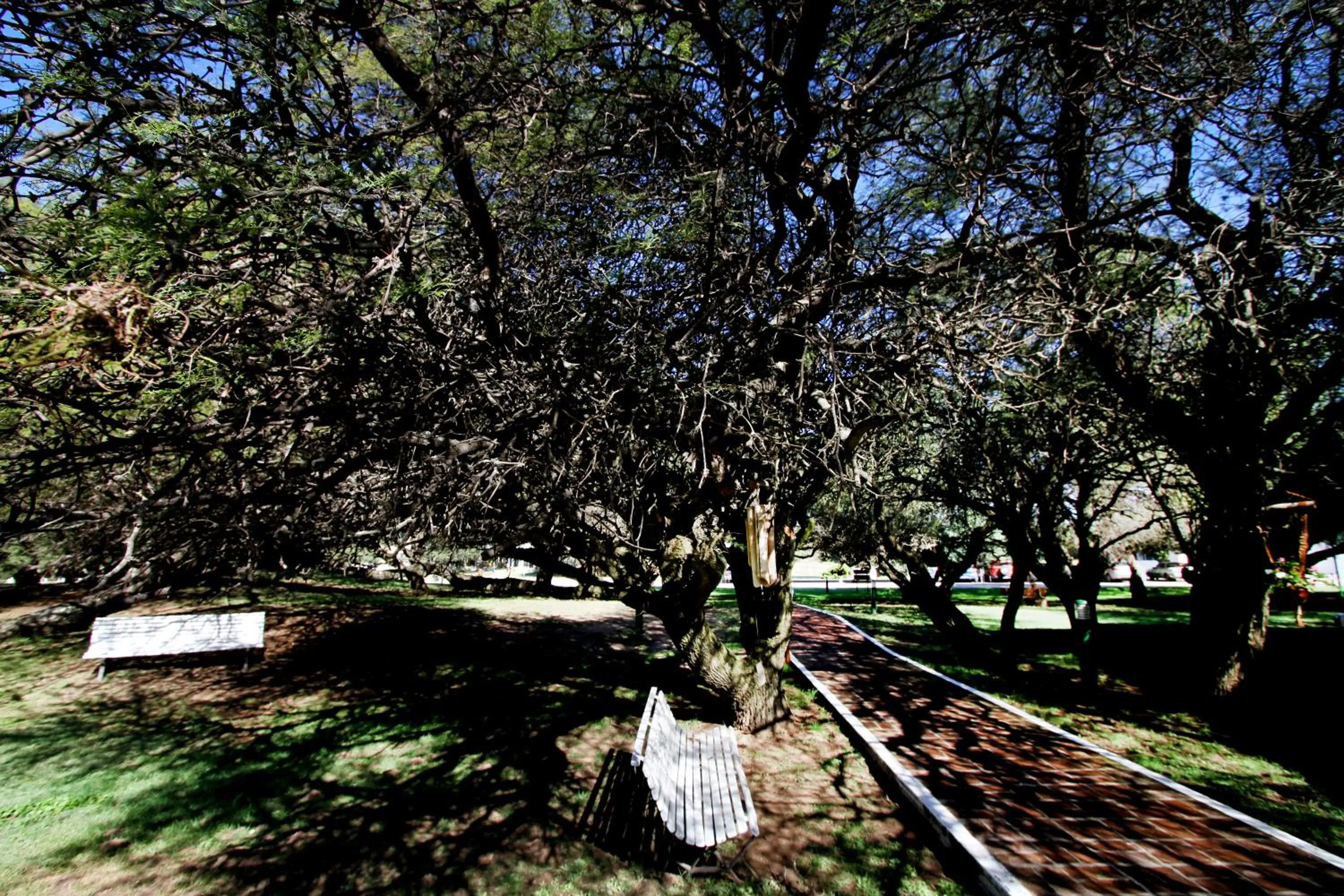 Patio in La Campiña Club Hotel & Spa