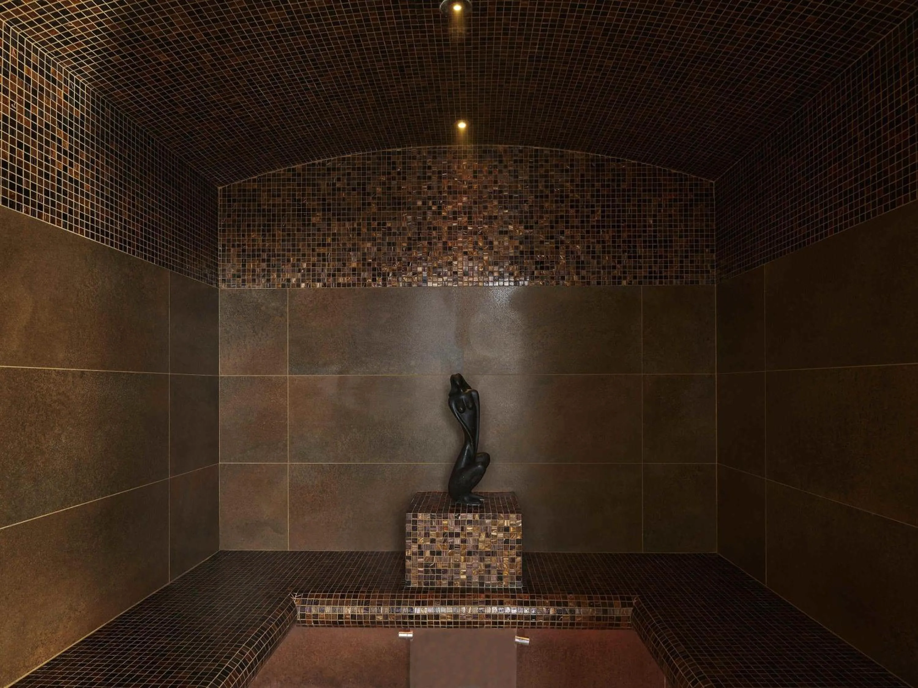 Spa and wellness centre/facilities in Aparthotel Adagio Bâle Mulhouse Aeroport