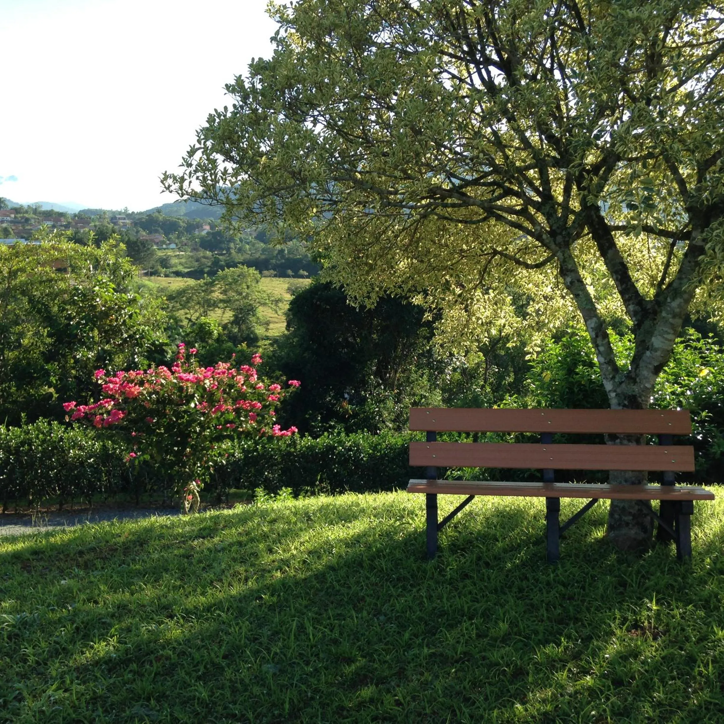 Garden in Hotel Bergblick