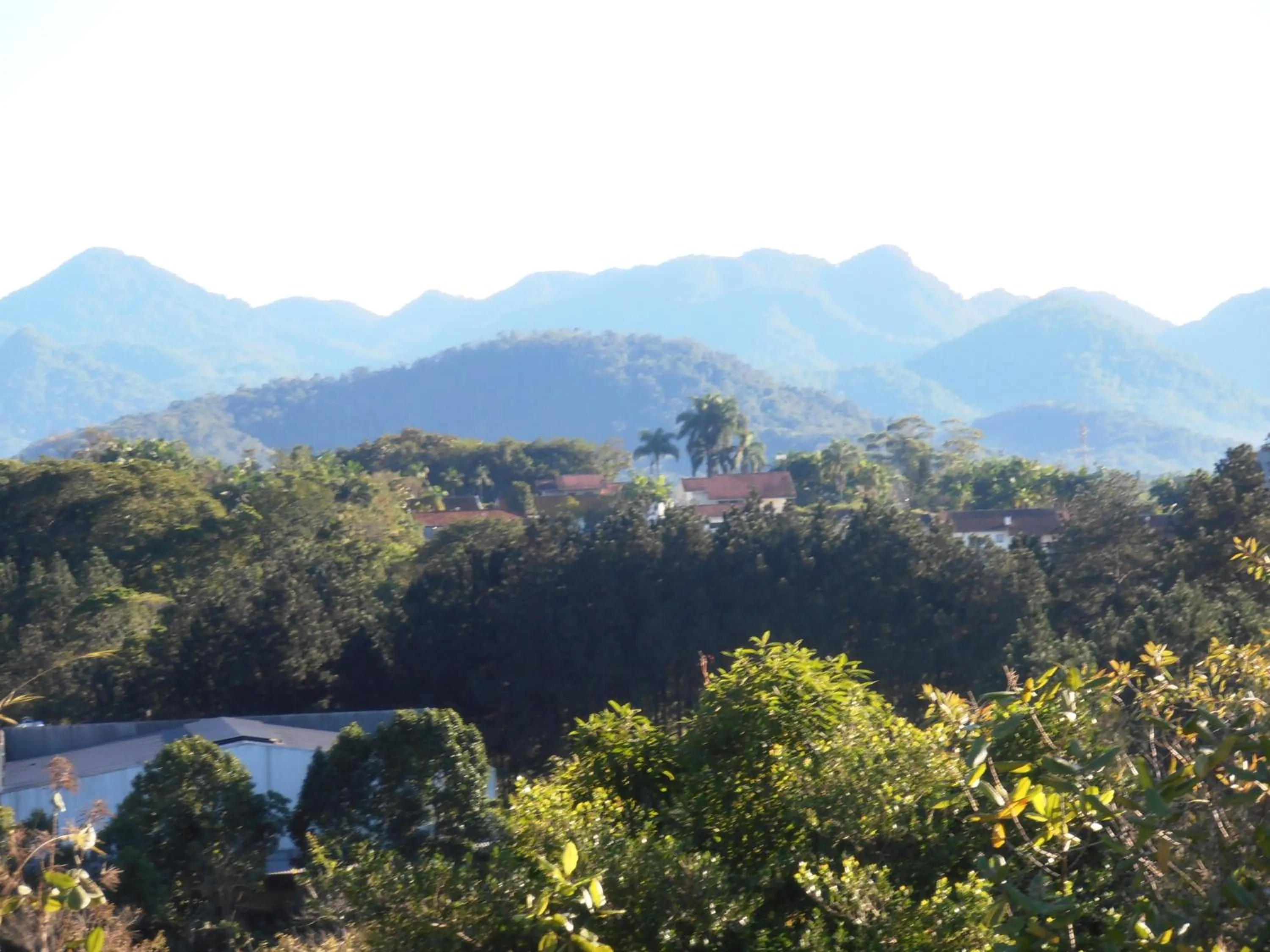Garden in Hotel Bergblick