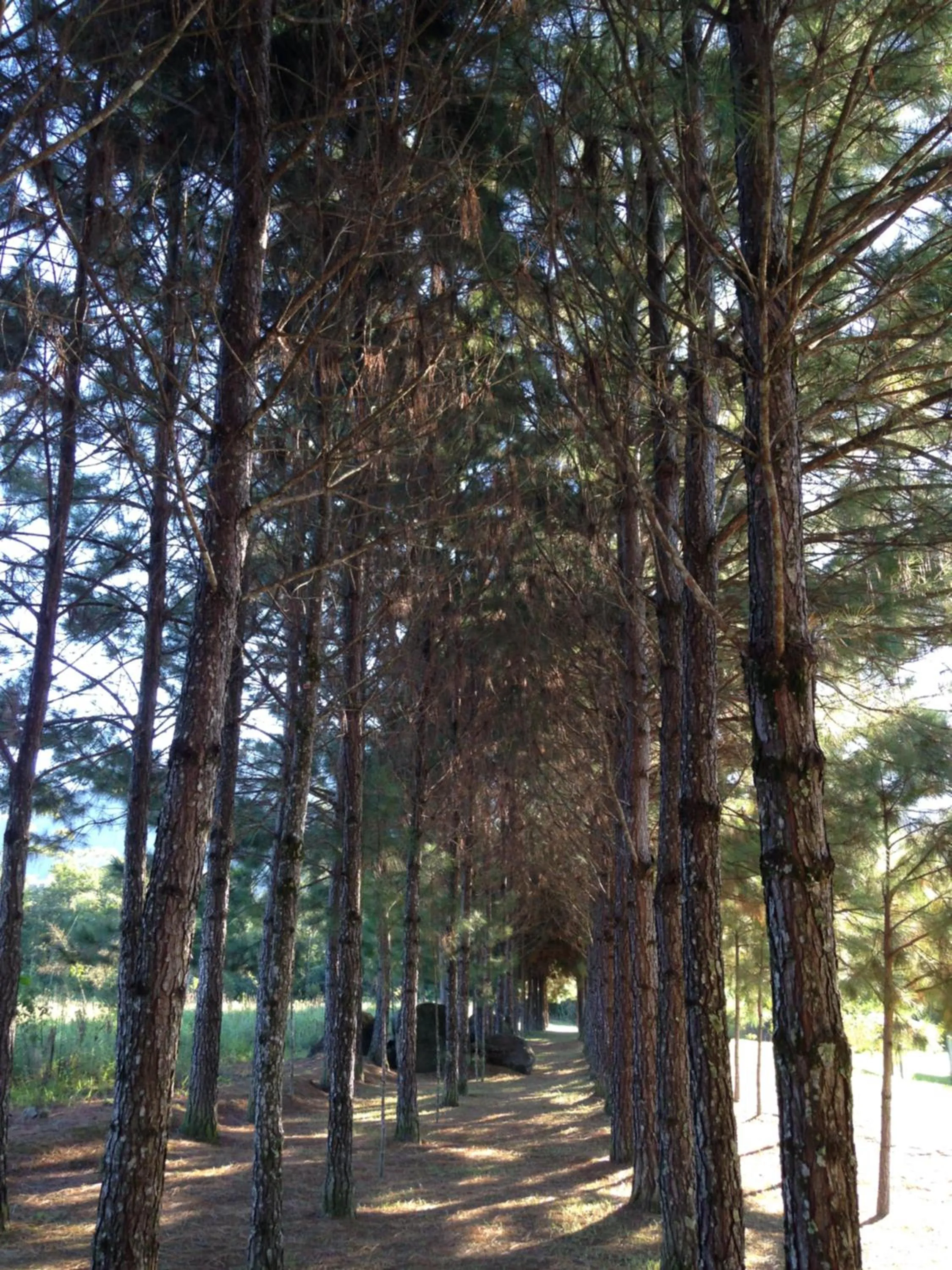 Garden in Hotel Bergblick