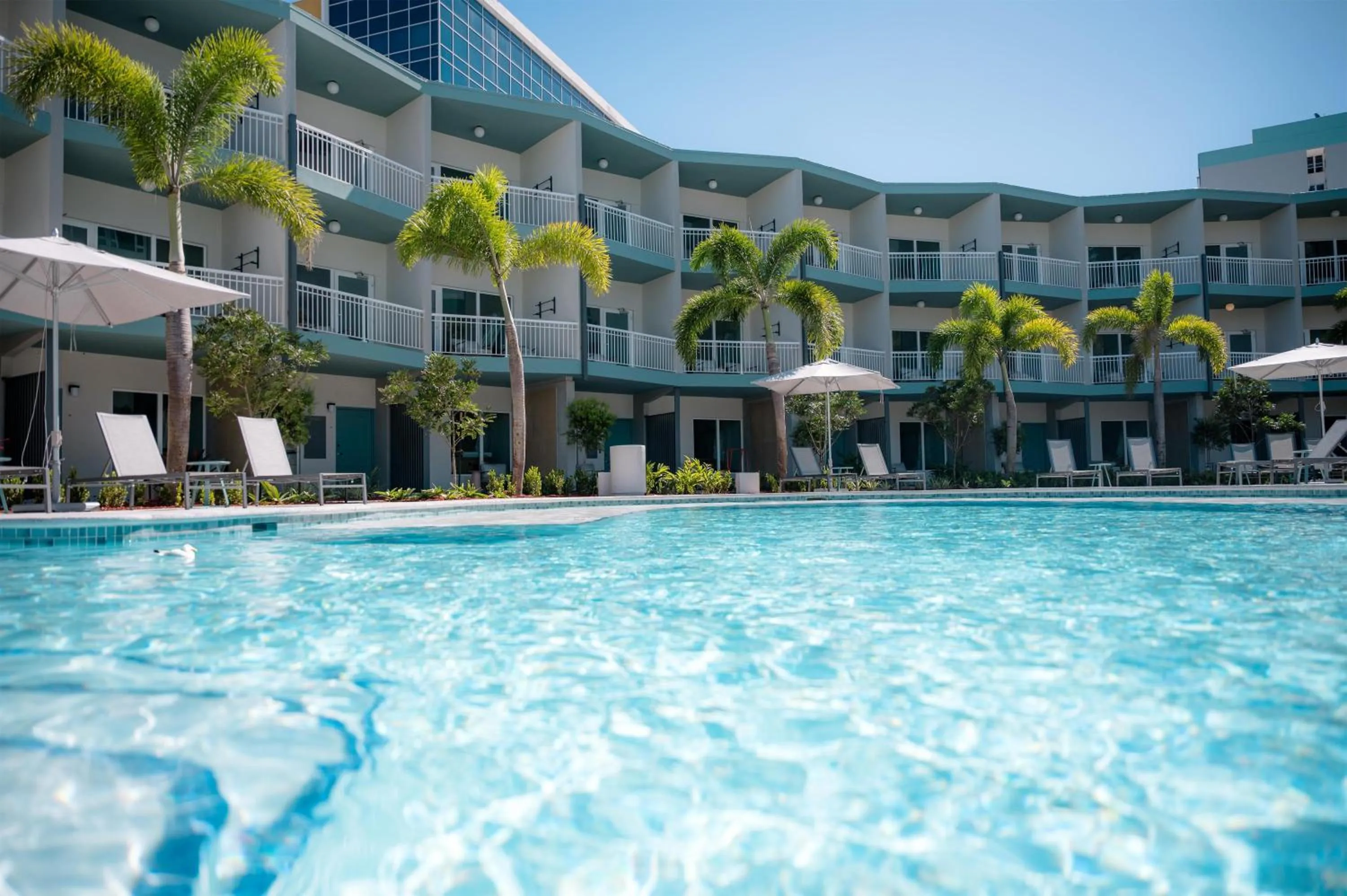 Swimming pool in Hyatt Centric San Juan Isla Verde