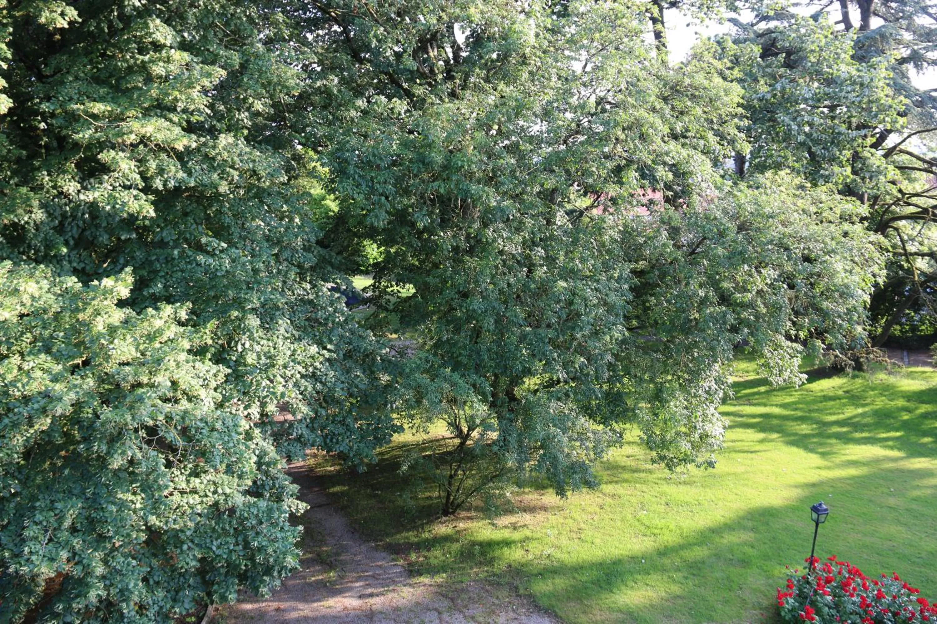 Garden view in Le Château des Tourelles en Vendée