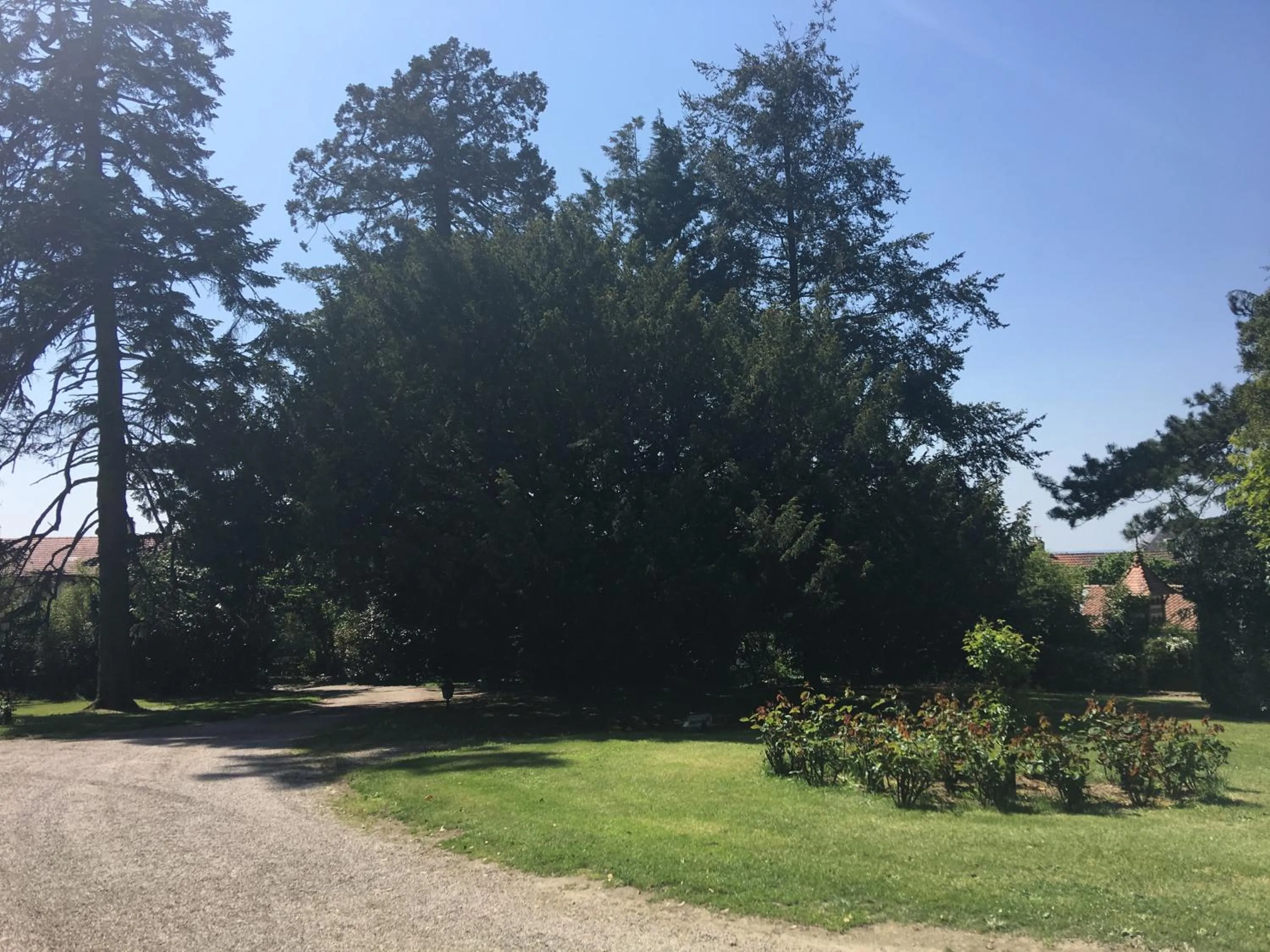Garden in Le Château des Tourelles en Vendée