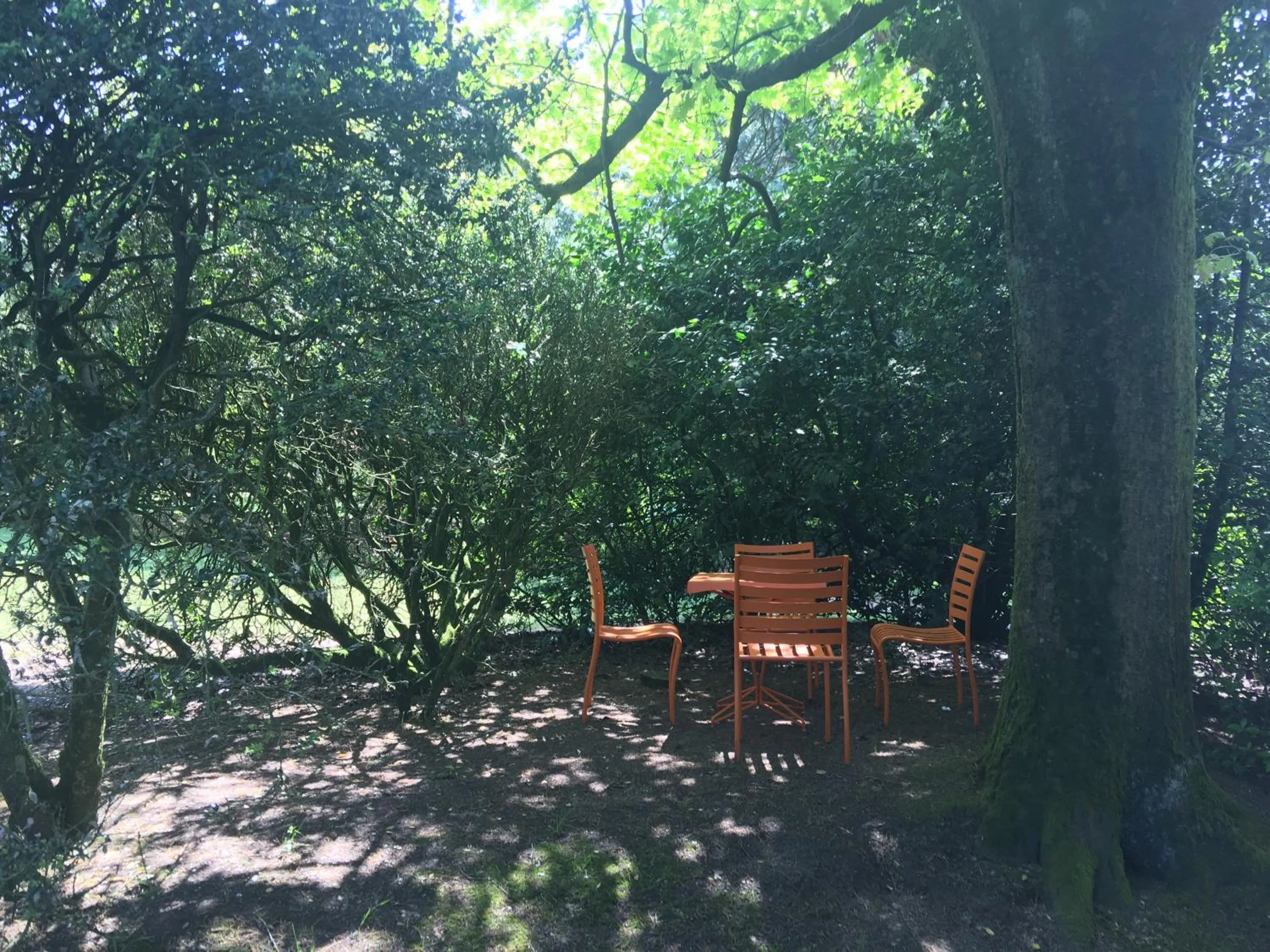 Garden in Le Château des Tourelles en Vendée