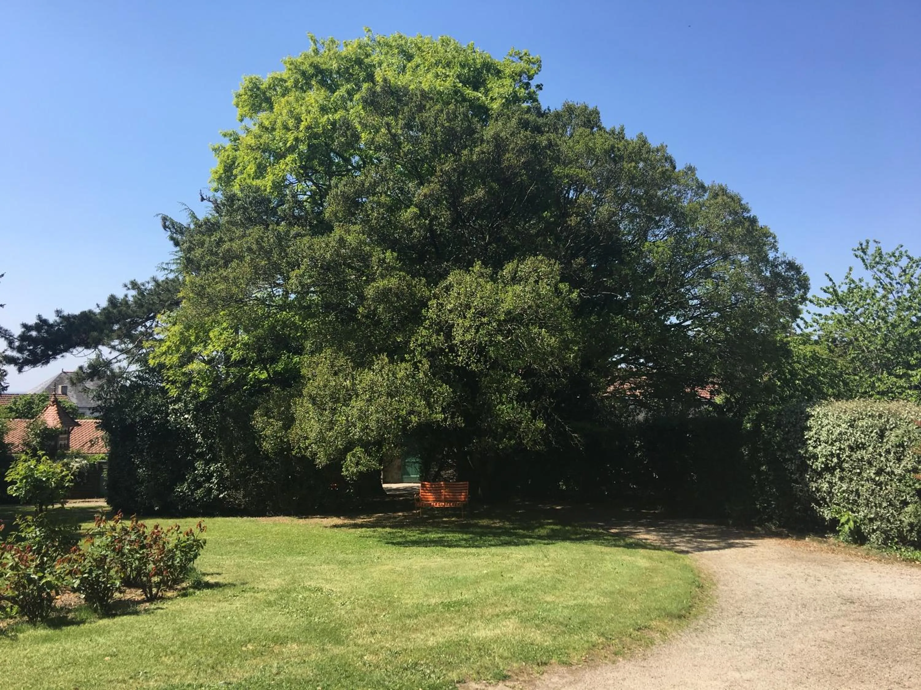 Garden in Le Château des Tourelles en Vendée