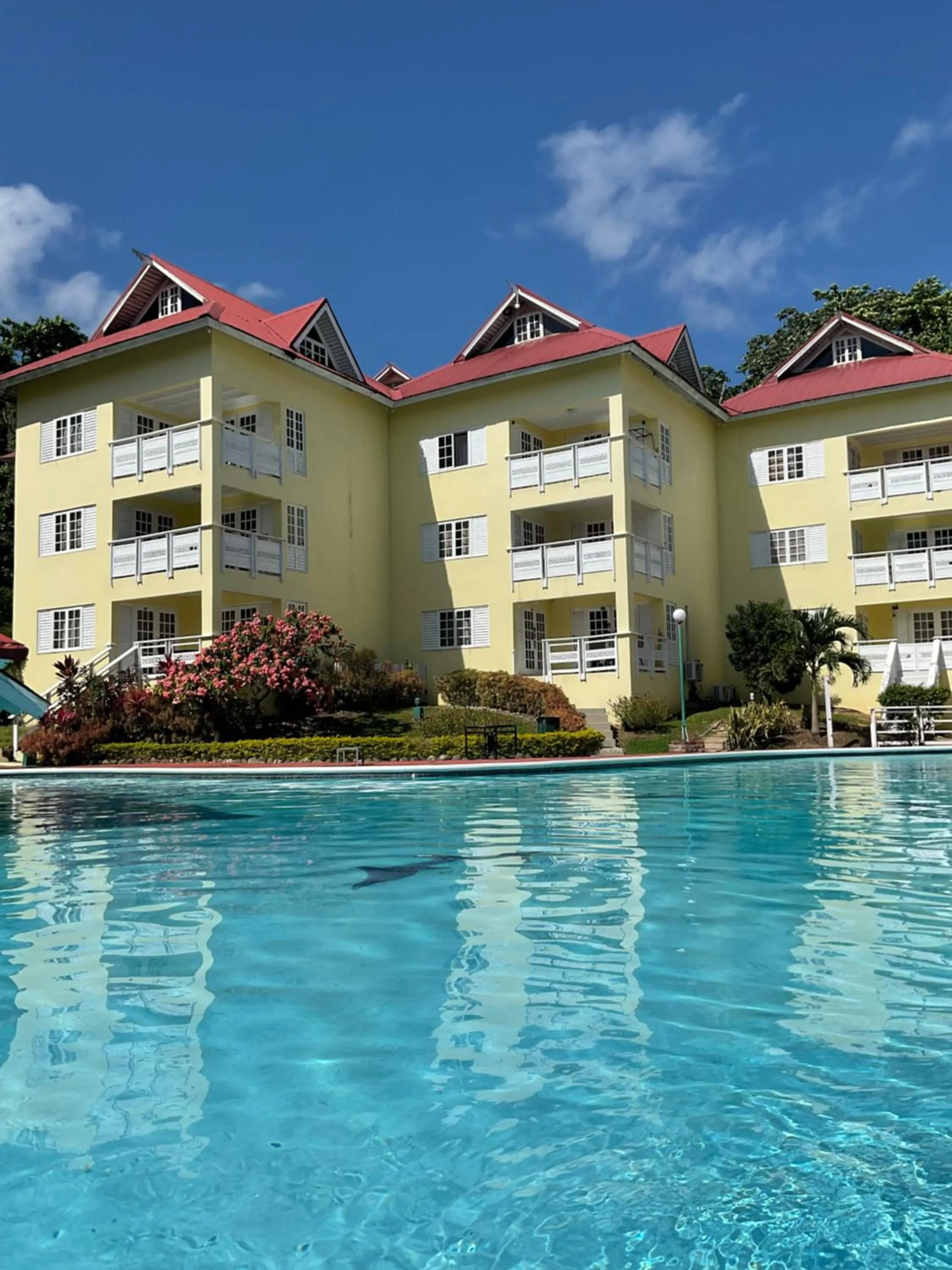 Swimming pool in Mystic Ridge Paradise