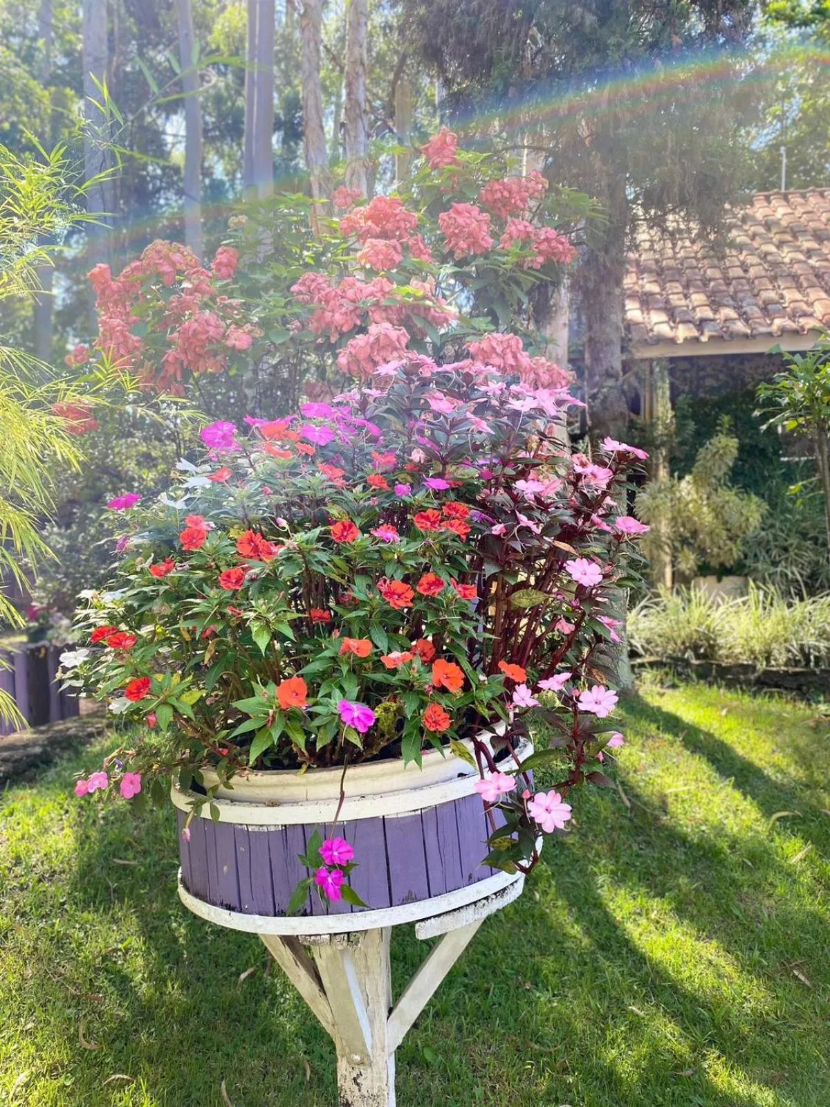 Garden in Mirágua Refugios Pousada