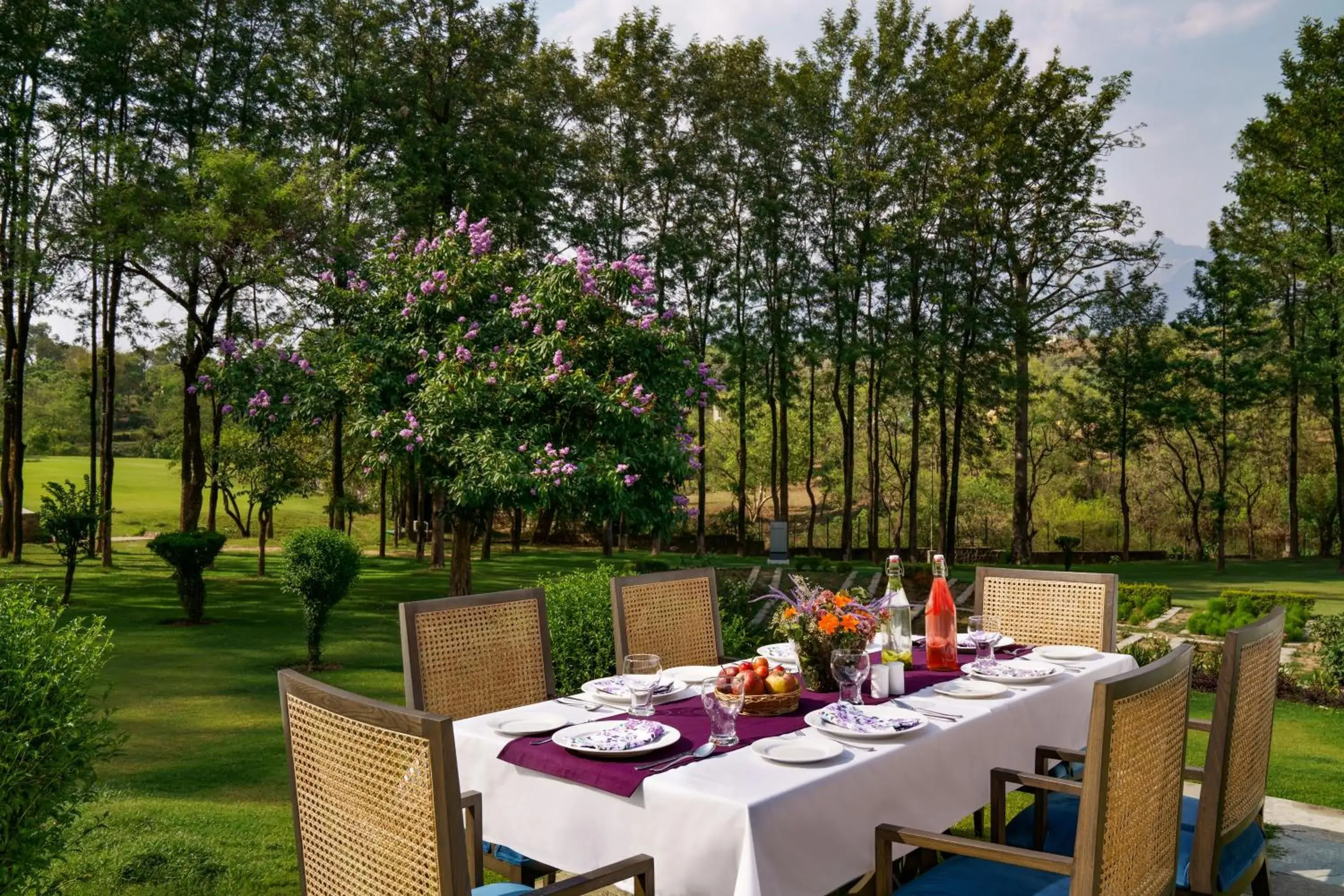 Restaurant/places to eat in Vivanta Katra Vaishno Devi Restaurant/places to eat in Vivanta Katra Vaishno Devi