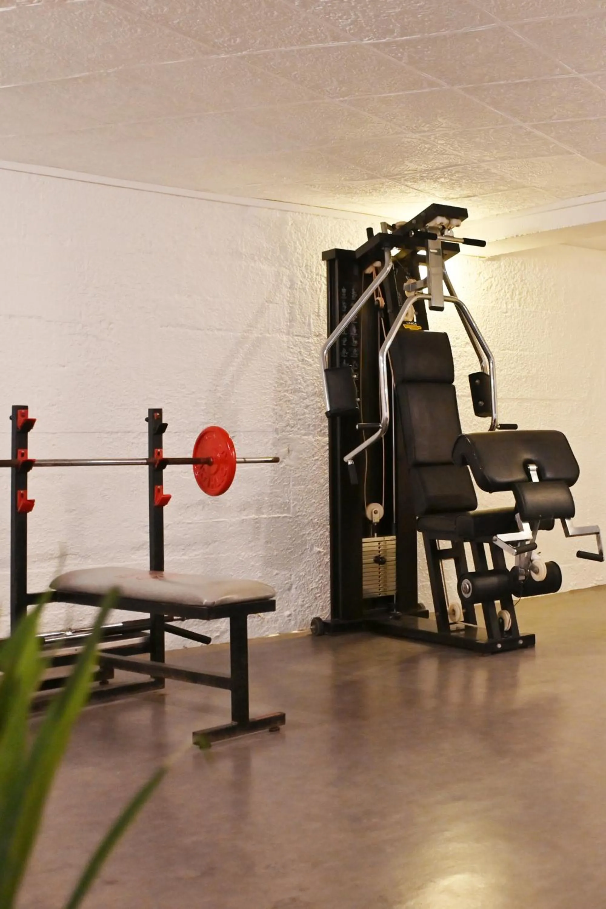 Fitness centre/facilities in Le Catalan