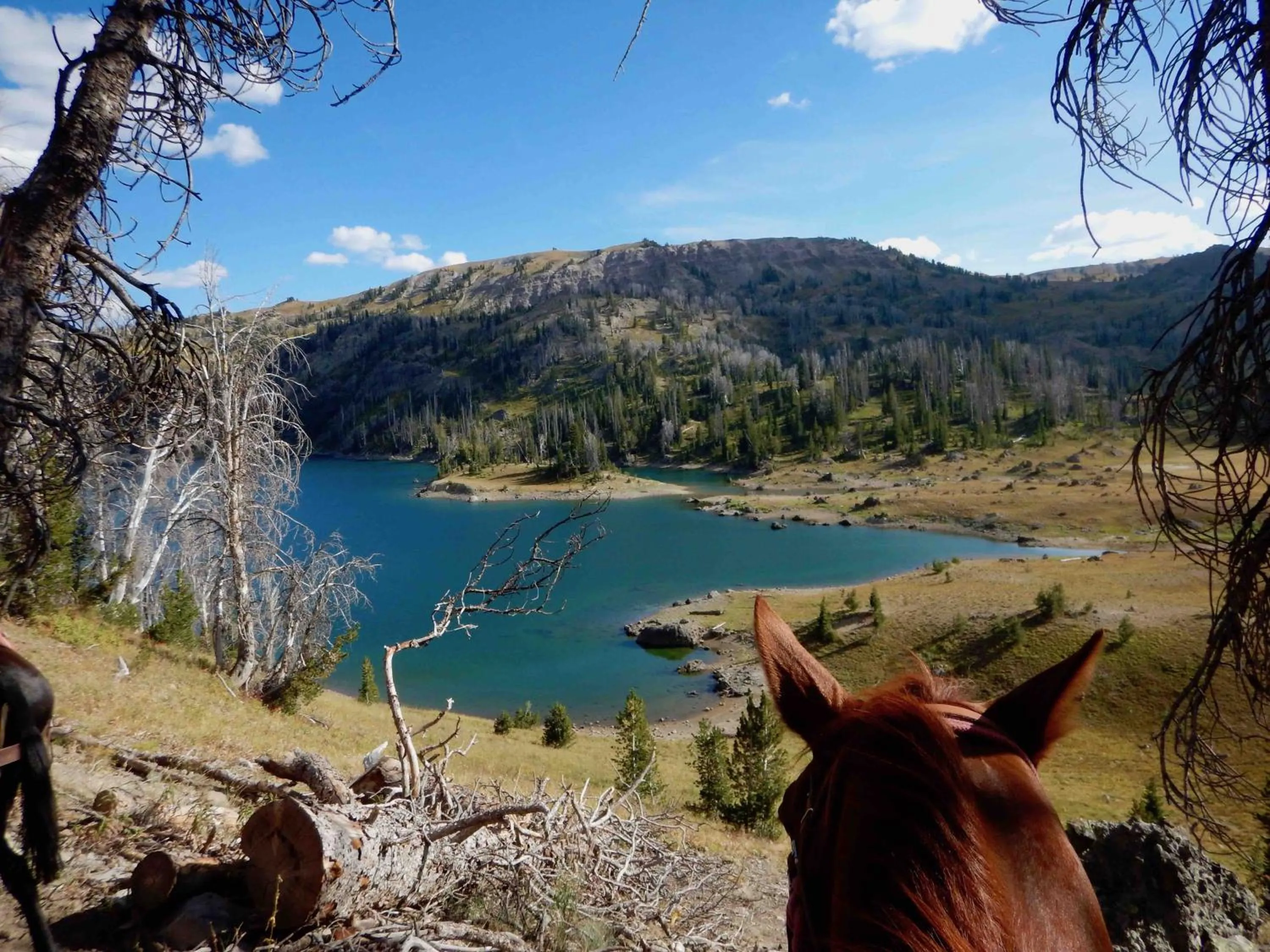 Horse-riding in Buffalo Valley Ranch