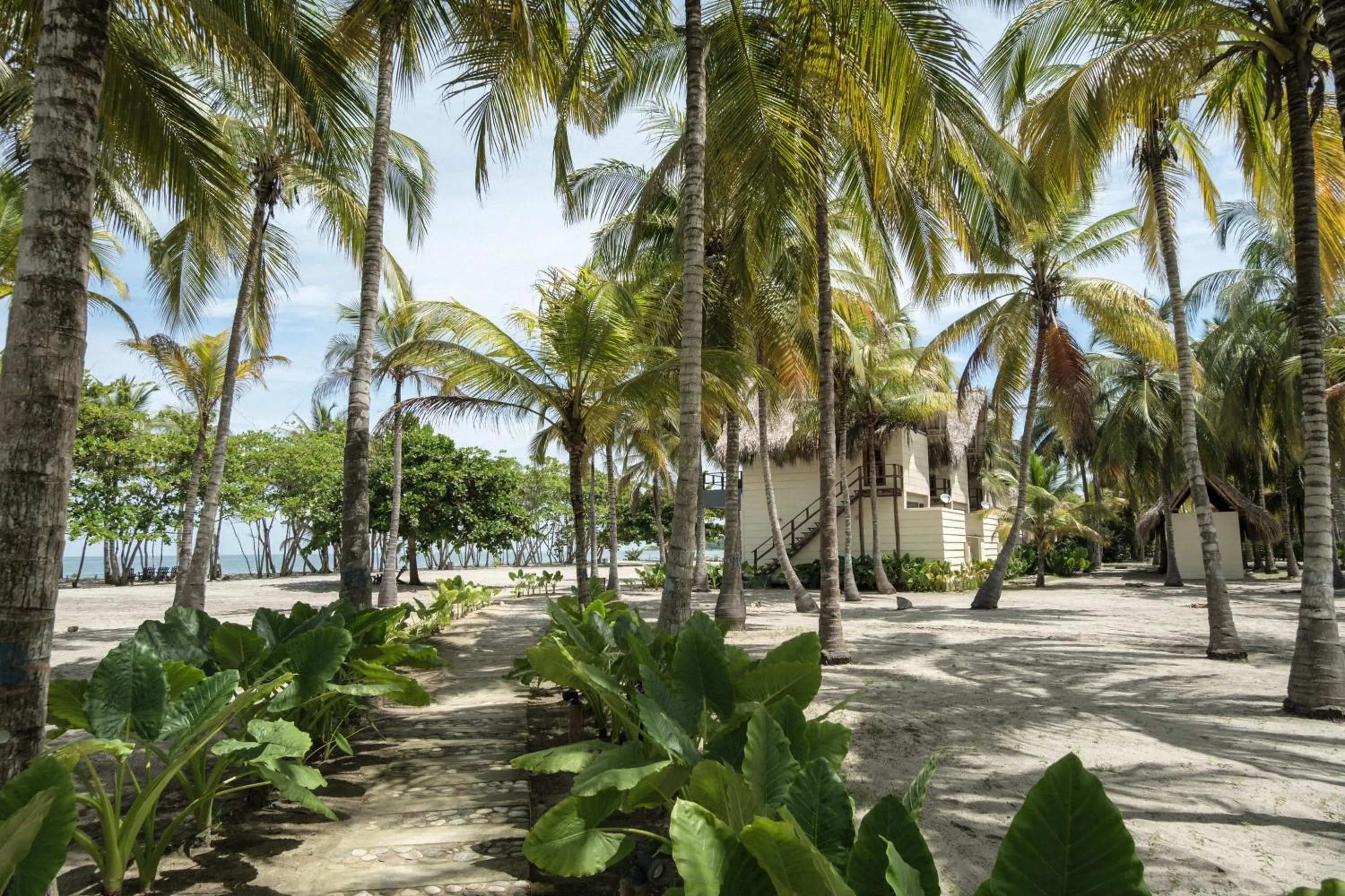 Beach in Tay Beach Hotel Tayrona
