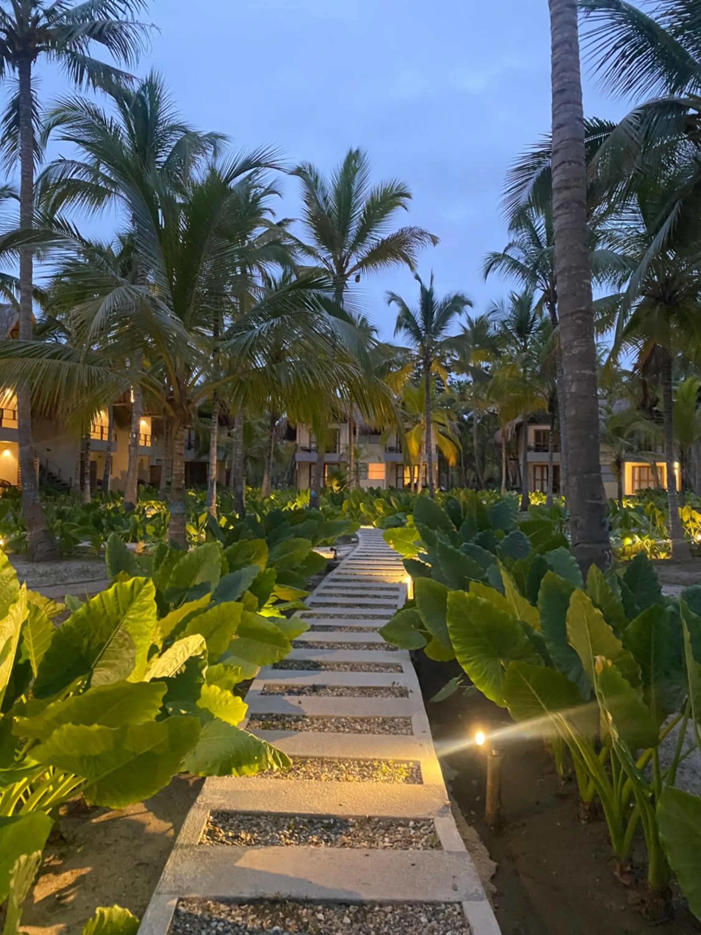 Garden in Tay Beach Hotel Tayrona