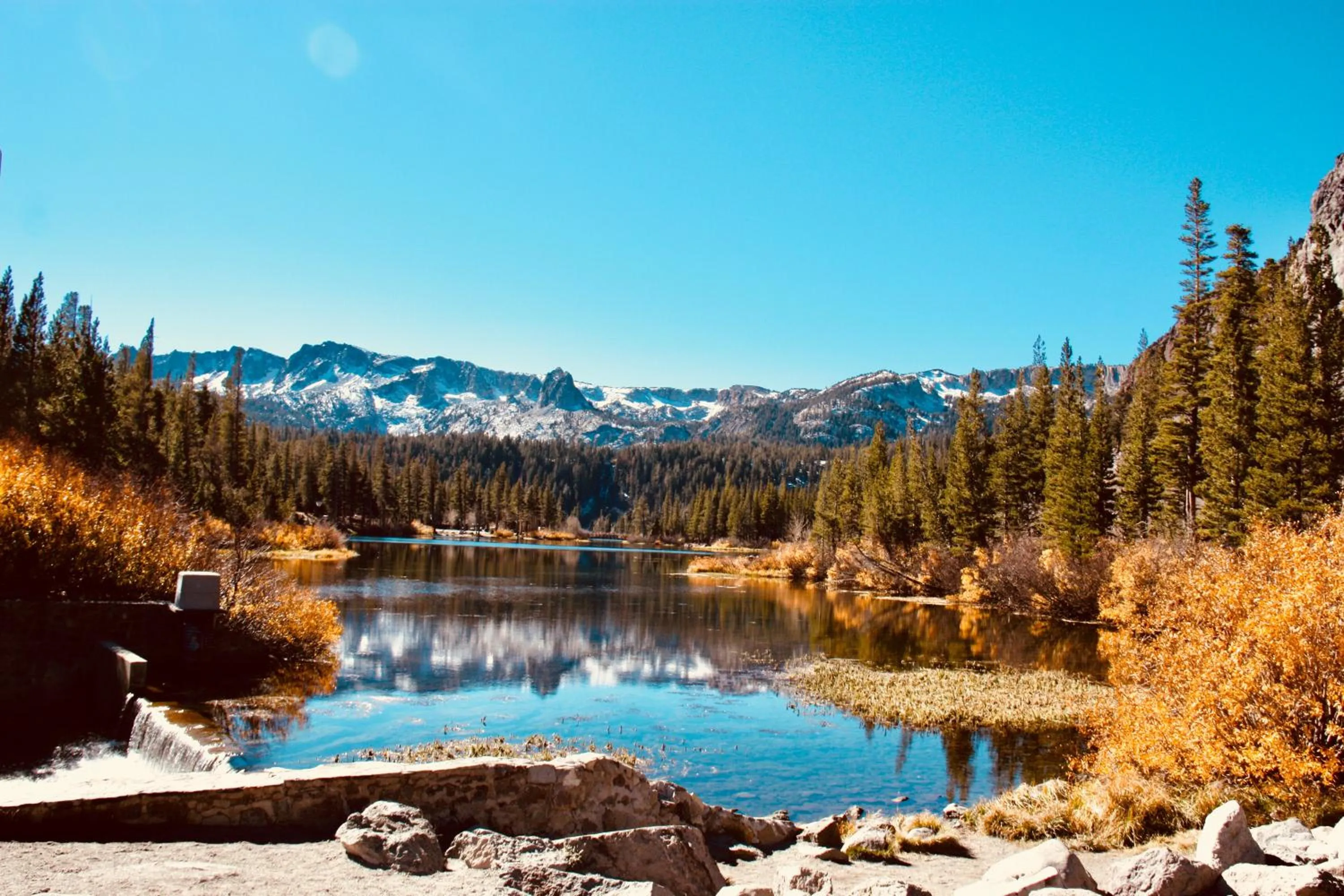 Other in Mammoth Ski Racquet Club 64 - Pet Friendly