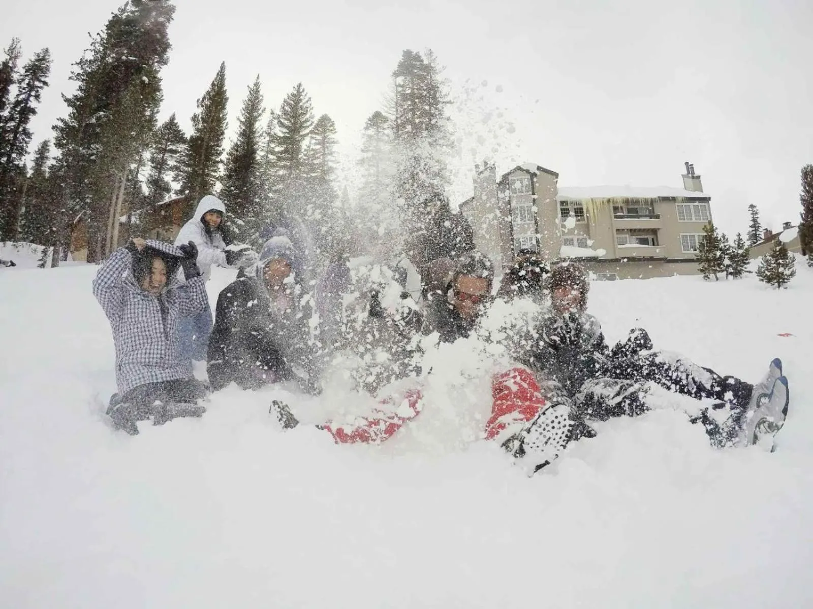 Other in Mountainback 49 Den