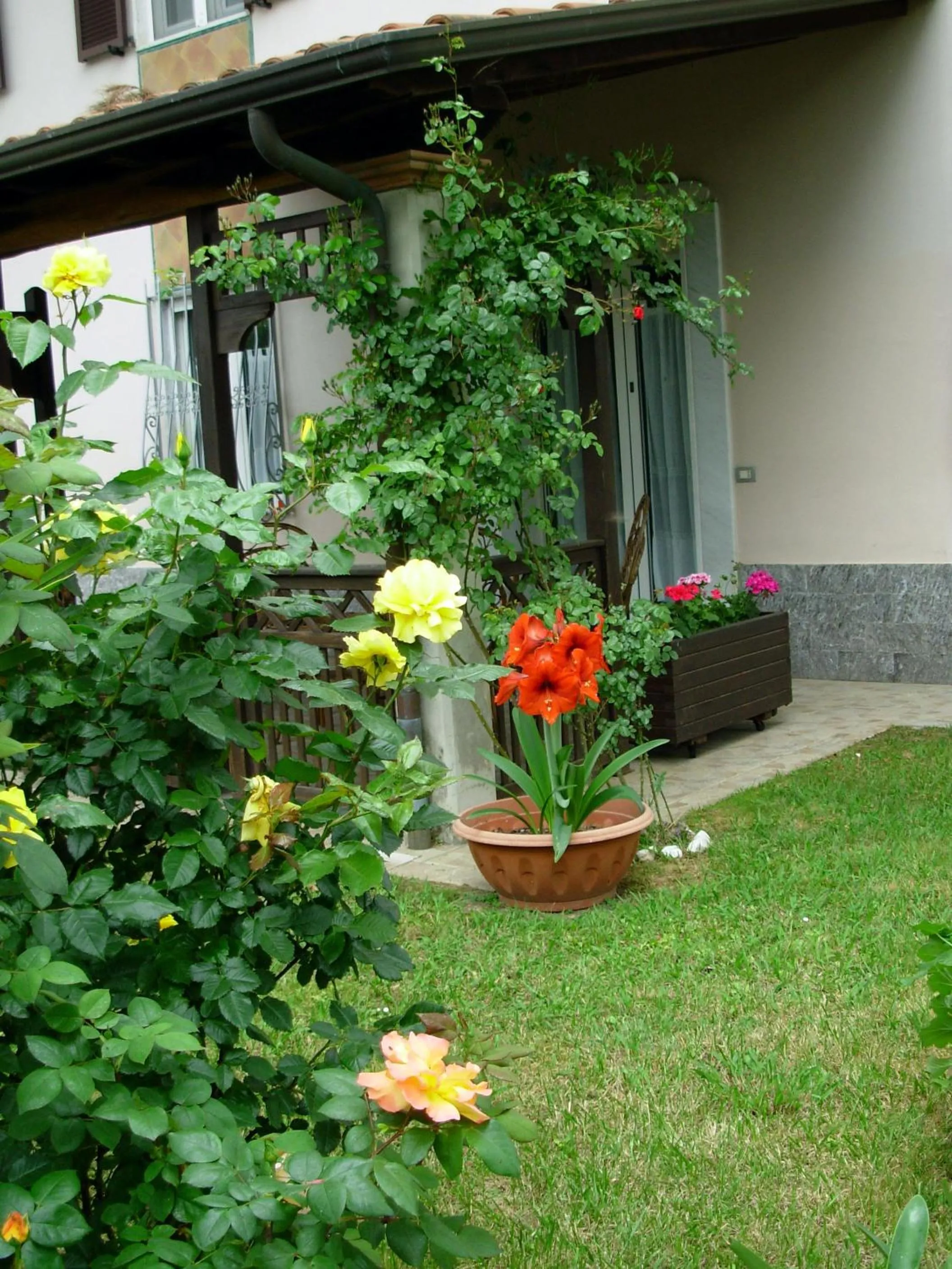 Garden in Hotel Villa Giada