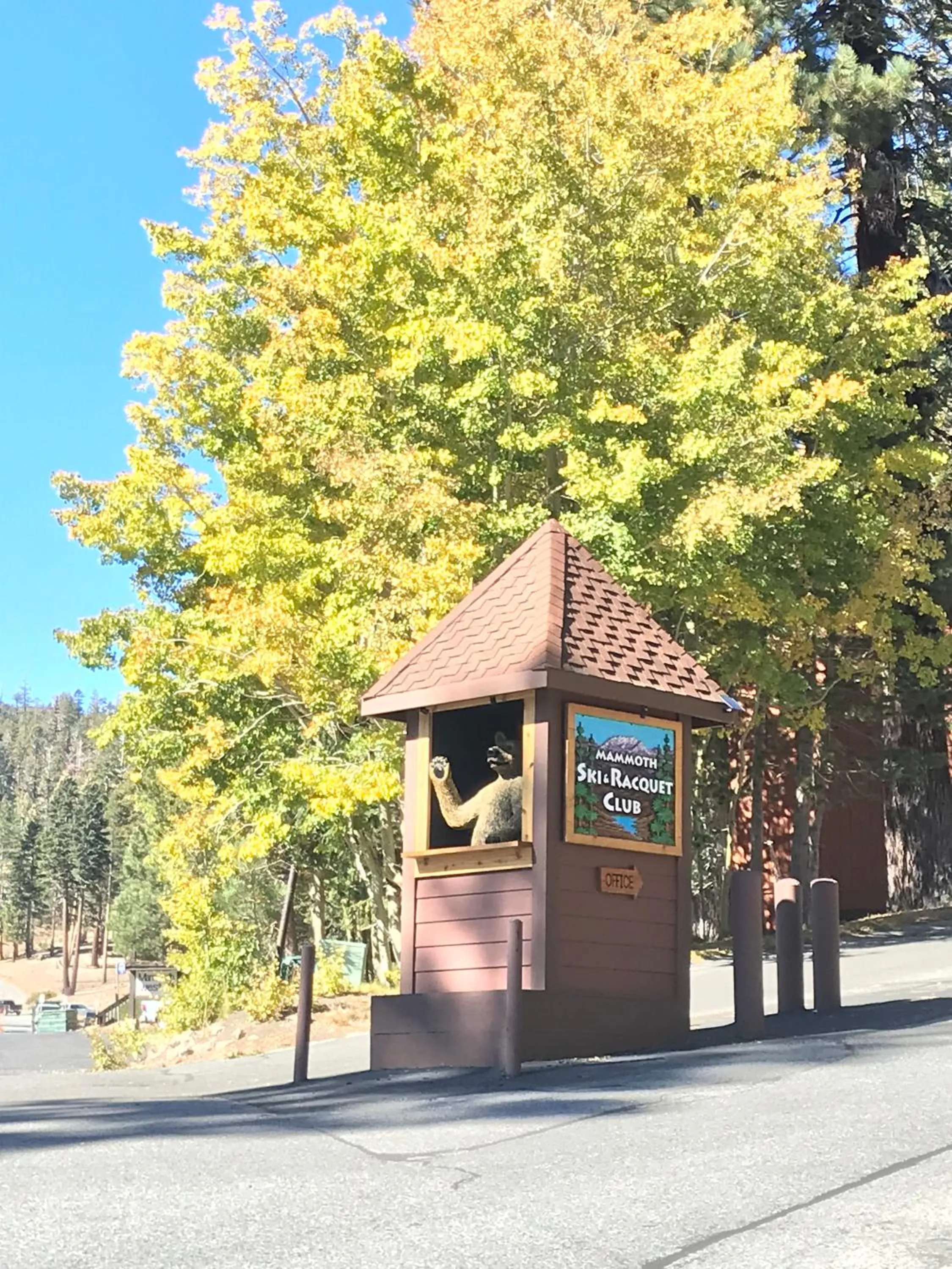 Other in Mammoth Ski Racquet Club 120 - Pet Friendly