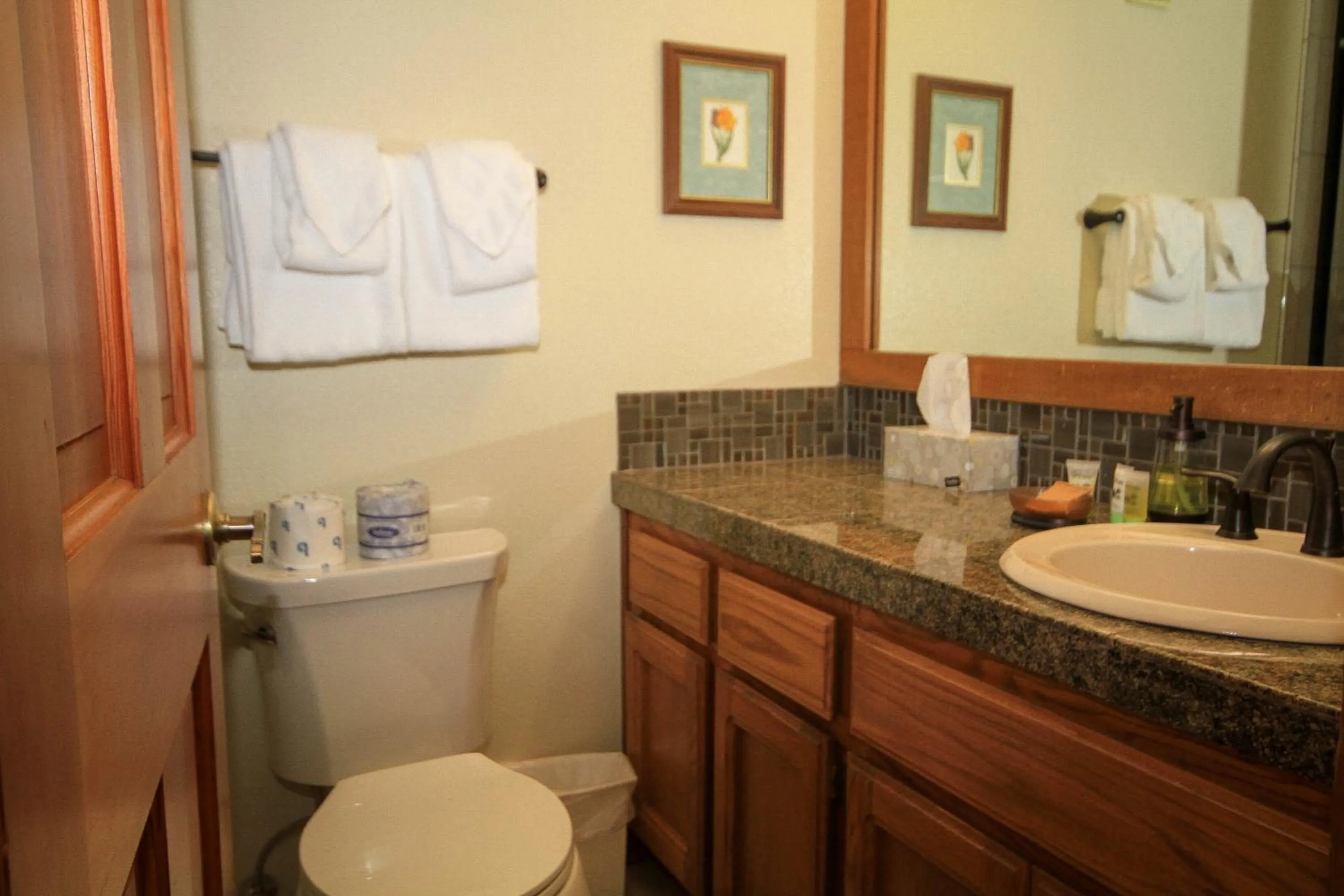 Other in Mountainback #117, Loft