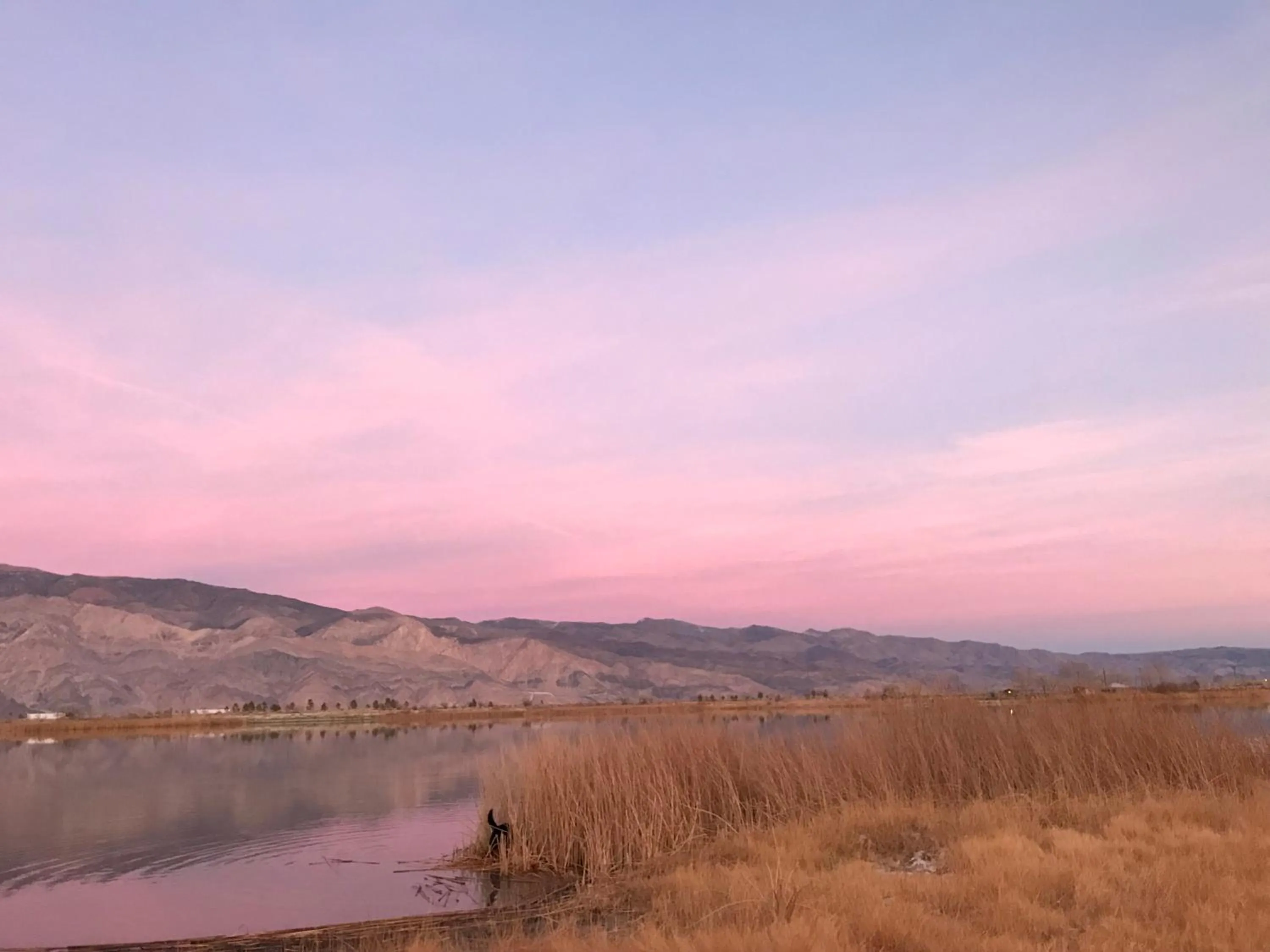 Other in Mountainback #117, Loft