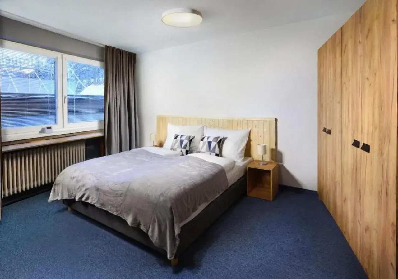 Standard Double Room in Hotel SKI Standard Double Room in Hotel SKI