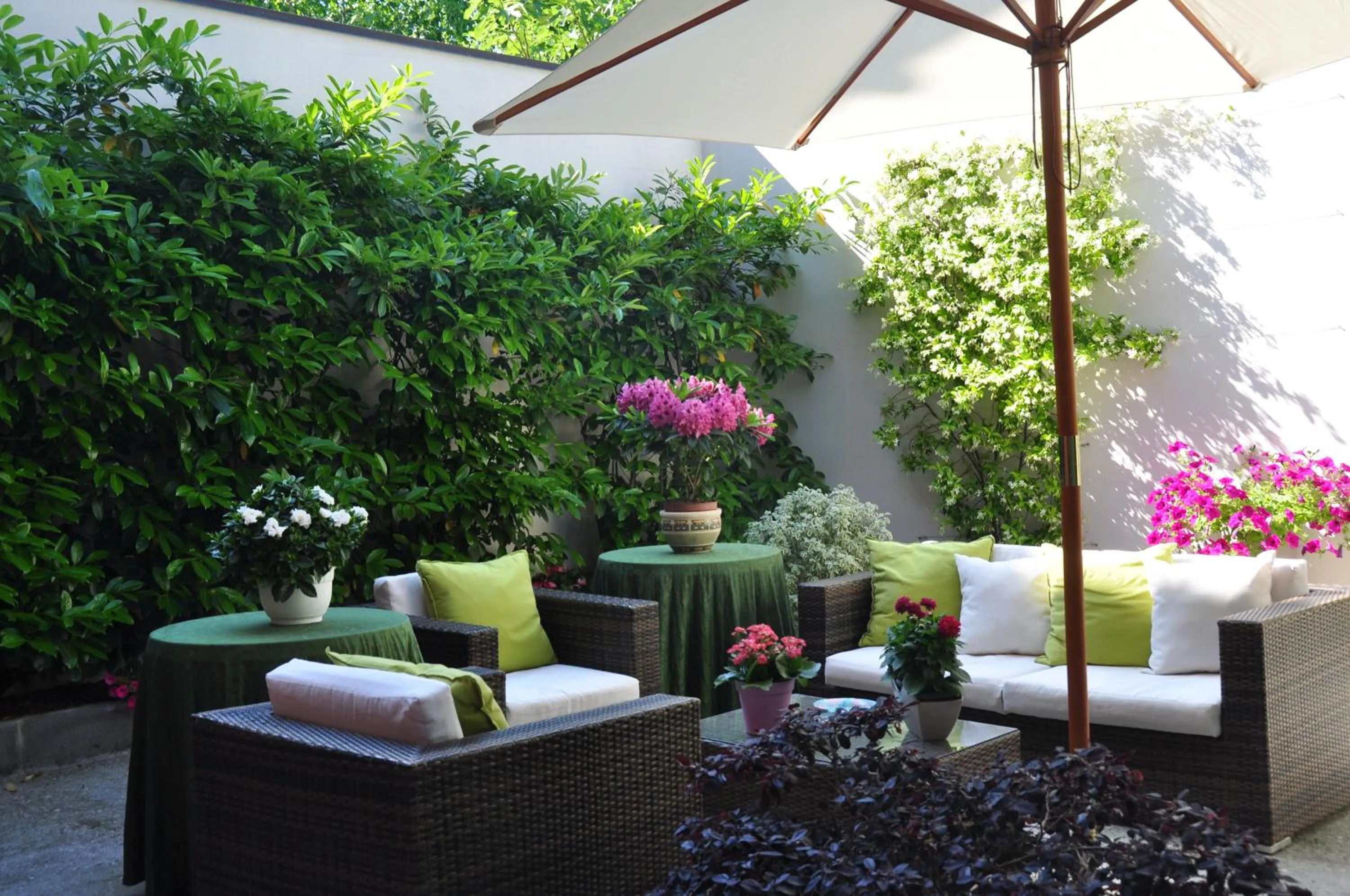 Garden in Piazza Nova Guest House