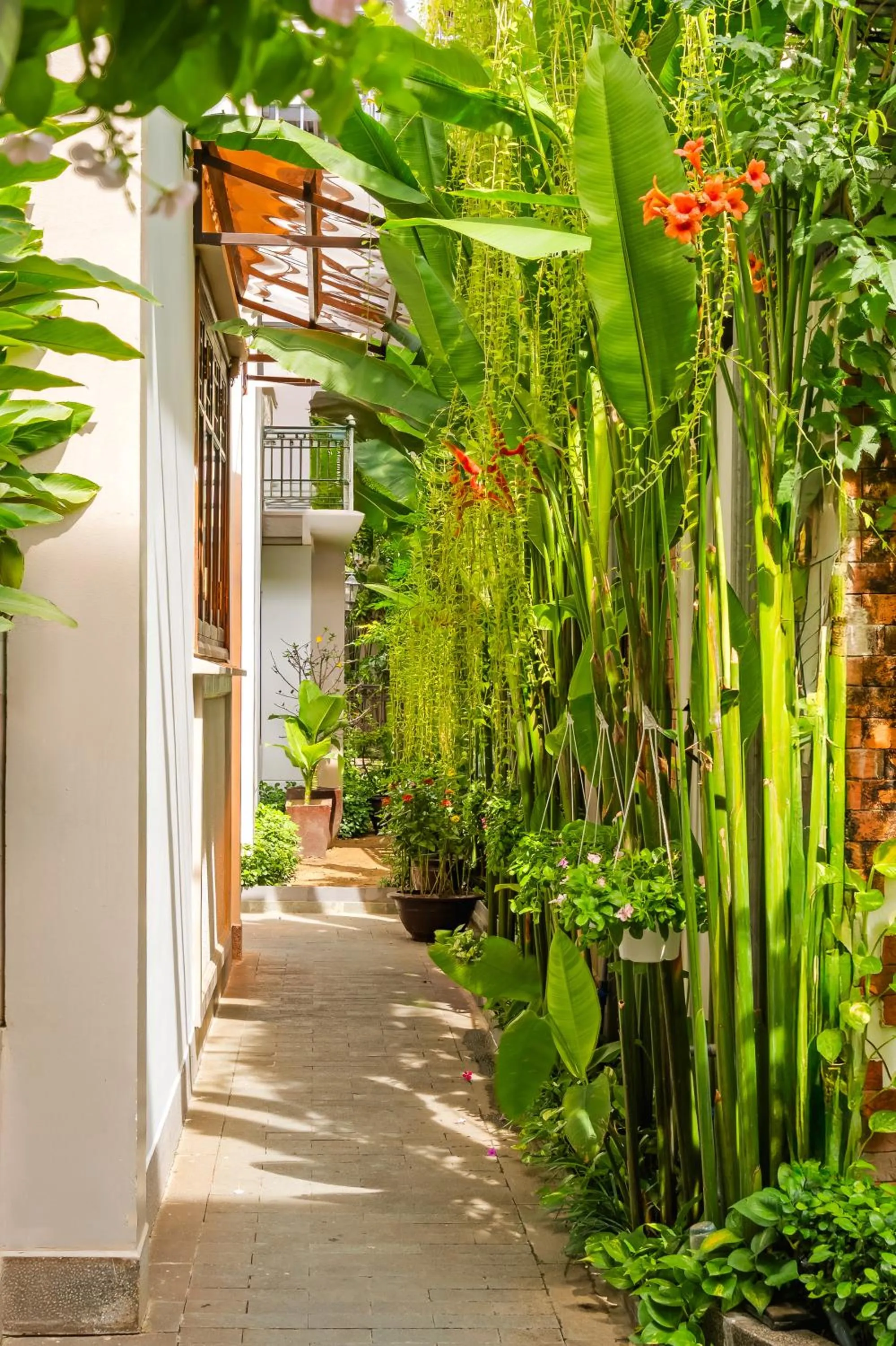 Garden in Laluna Hoi An Riverside Hotel & Spa