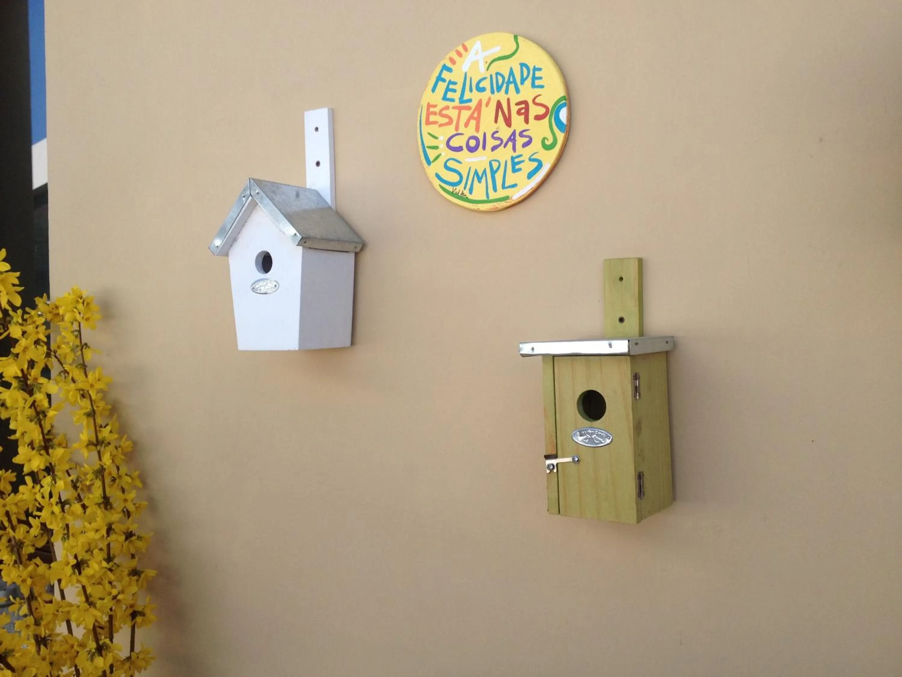 Balcony/Terrace in Casa Bona