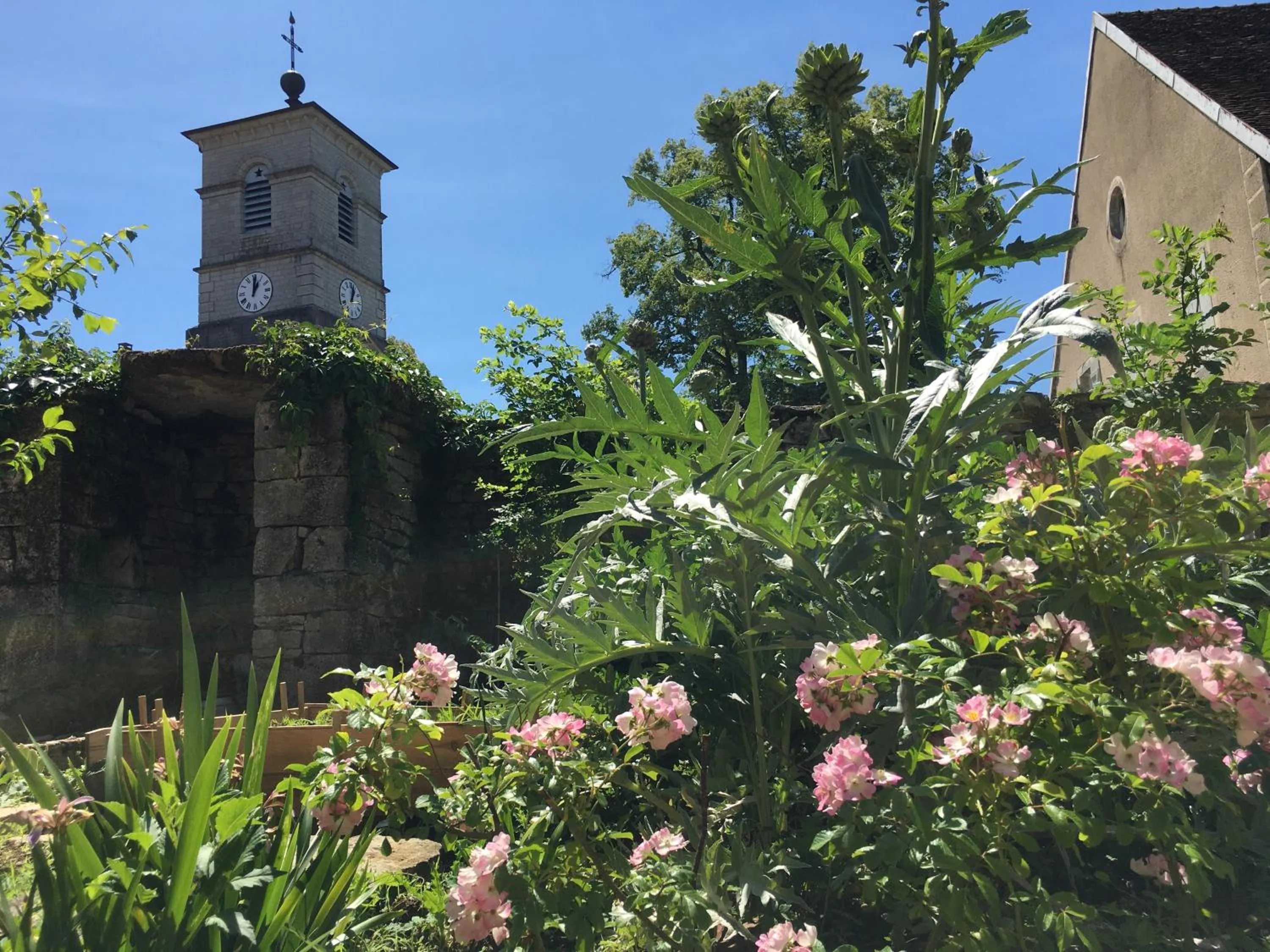 Garden in Chambres d Hôtes Les Filles Tresy