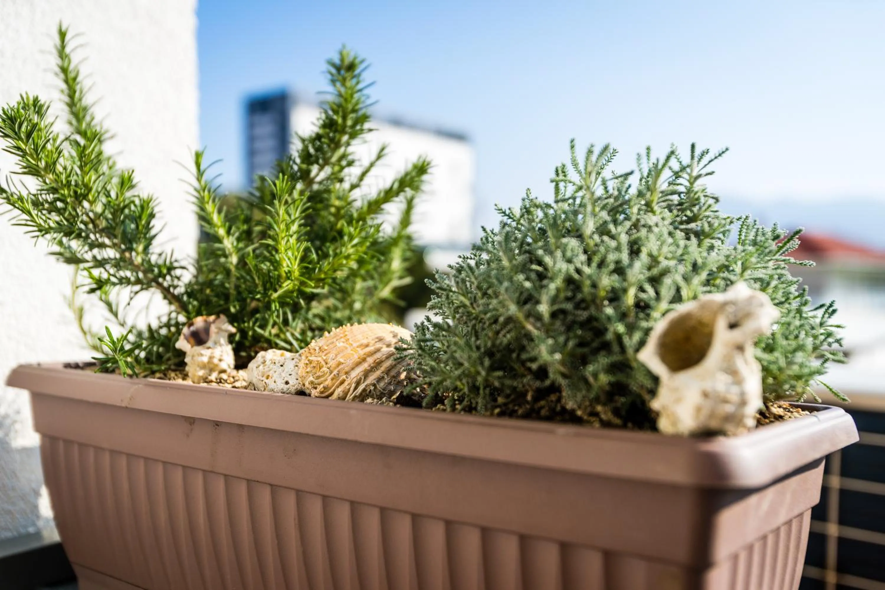 Balcony/Terrace in Apartment Romana with a spacious terrace