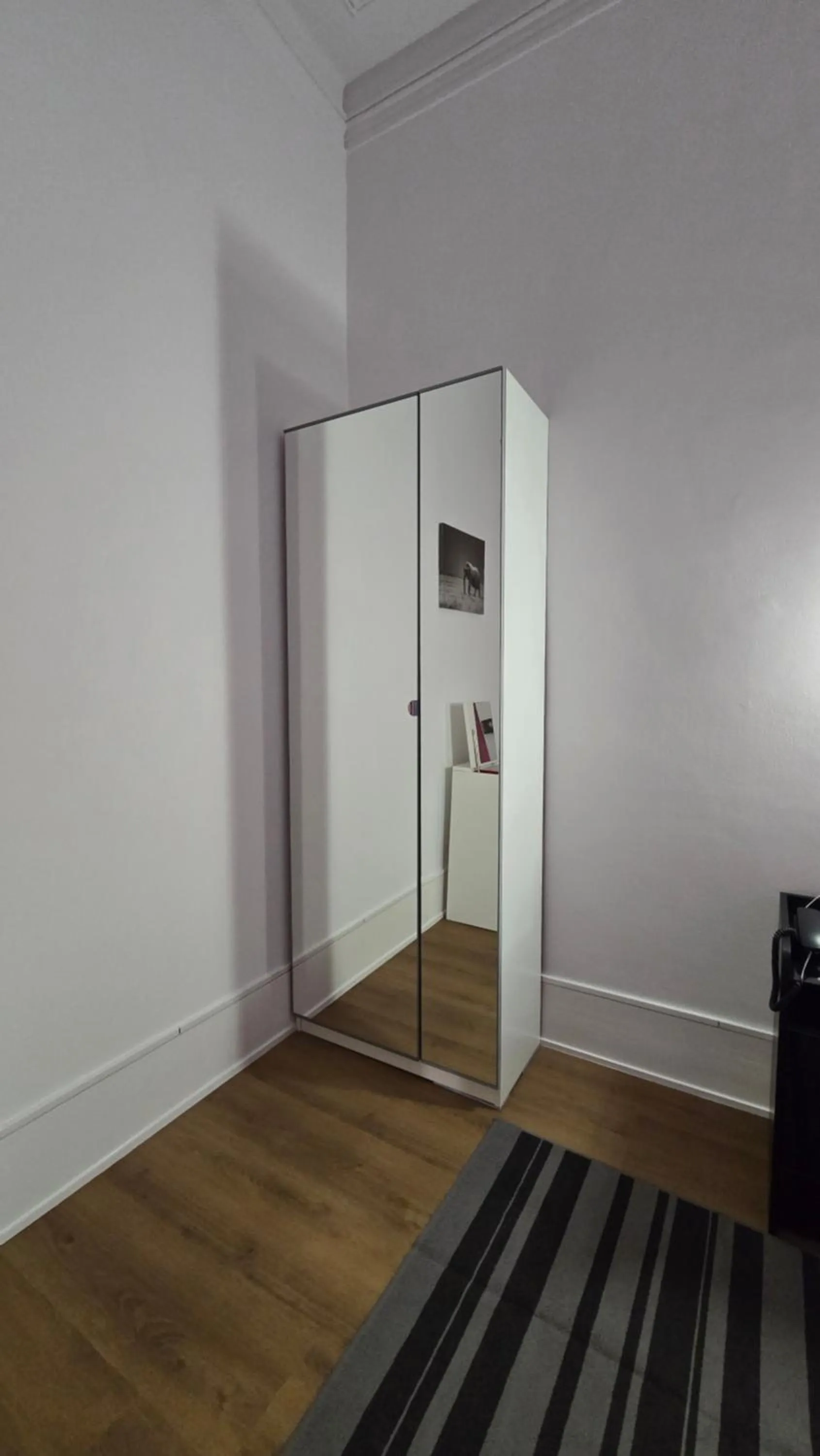 Cenário Catita Hostel