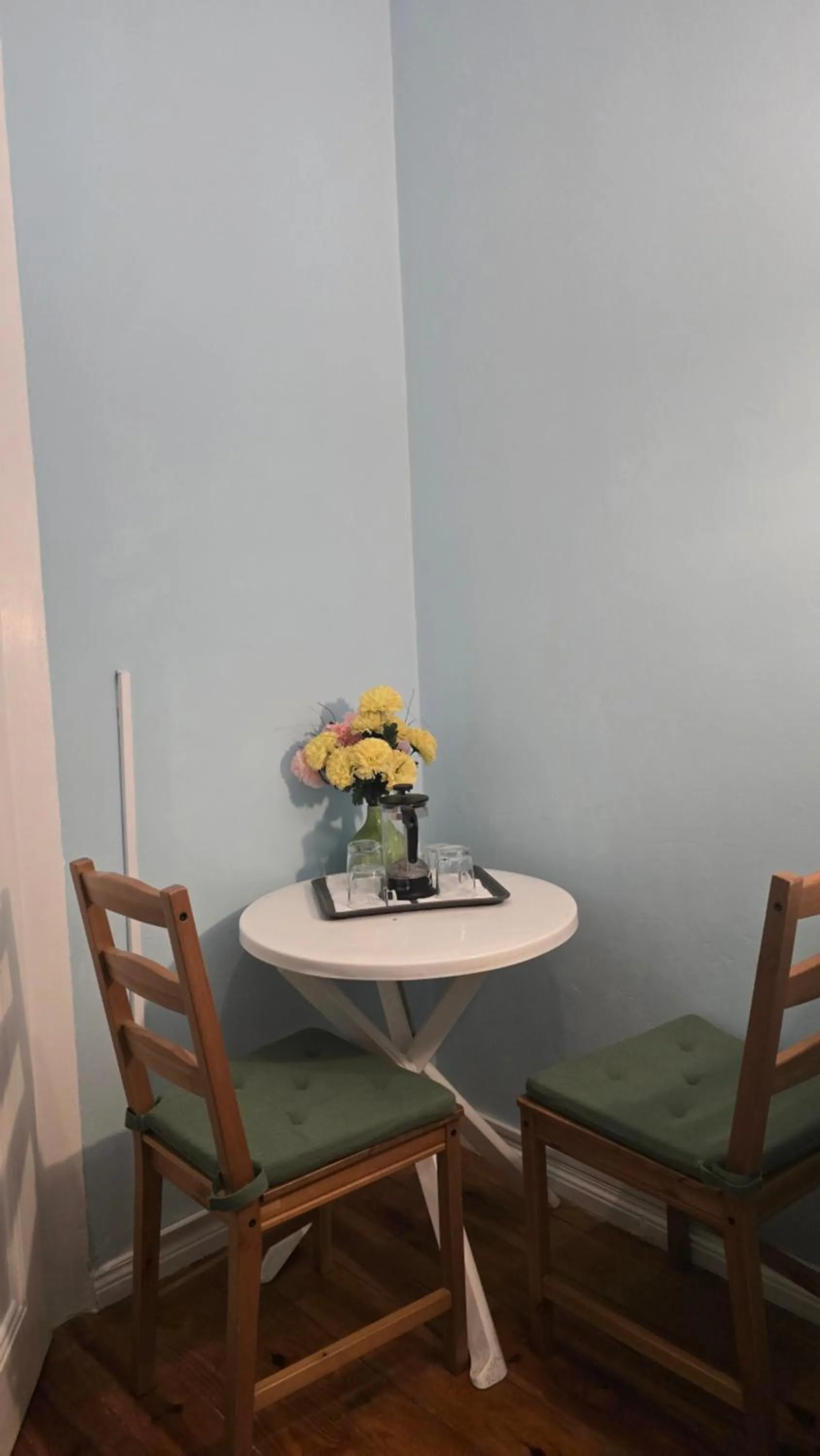 Cenário Catita Hostel