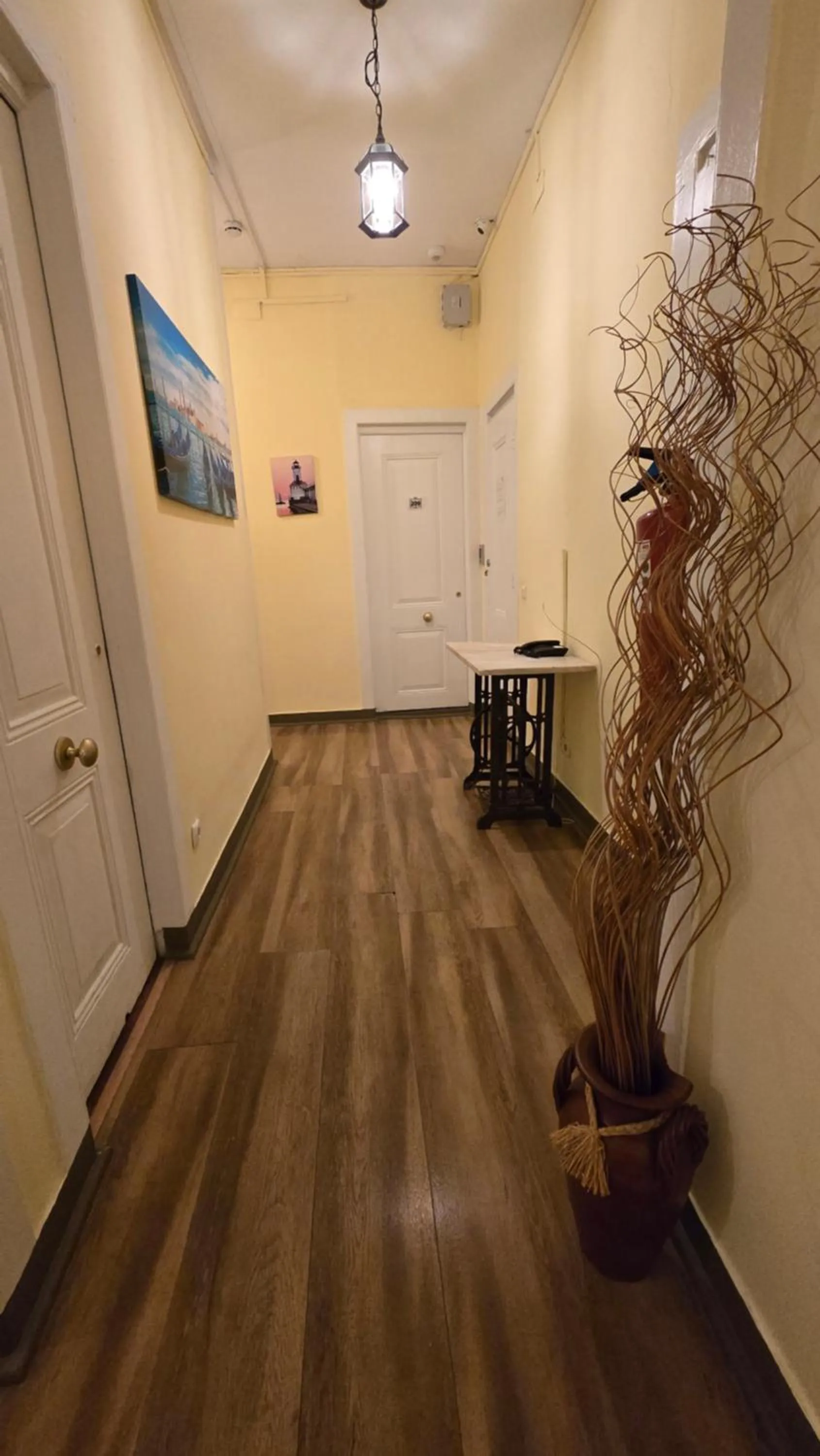 Cenário Catita Hostel