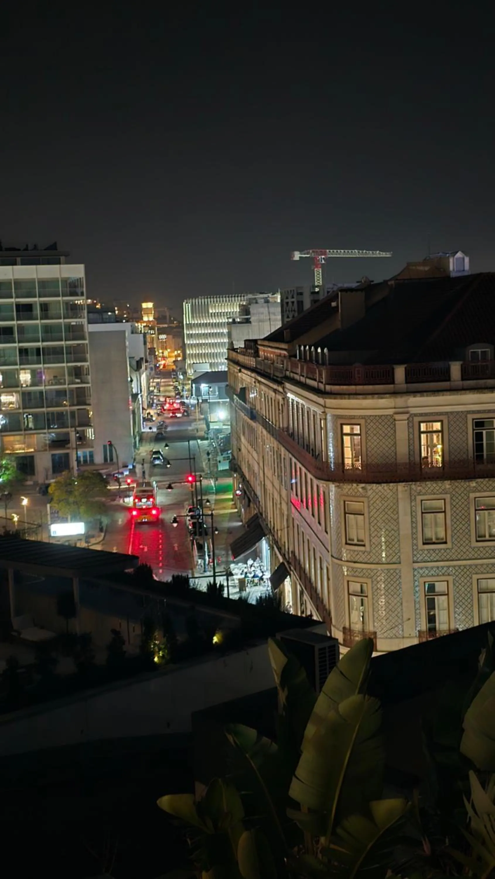 Cenário Catita Hostel