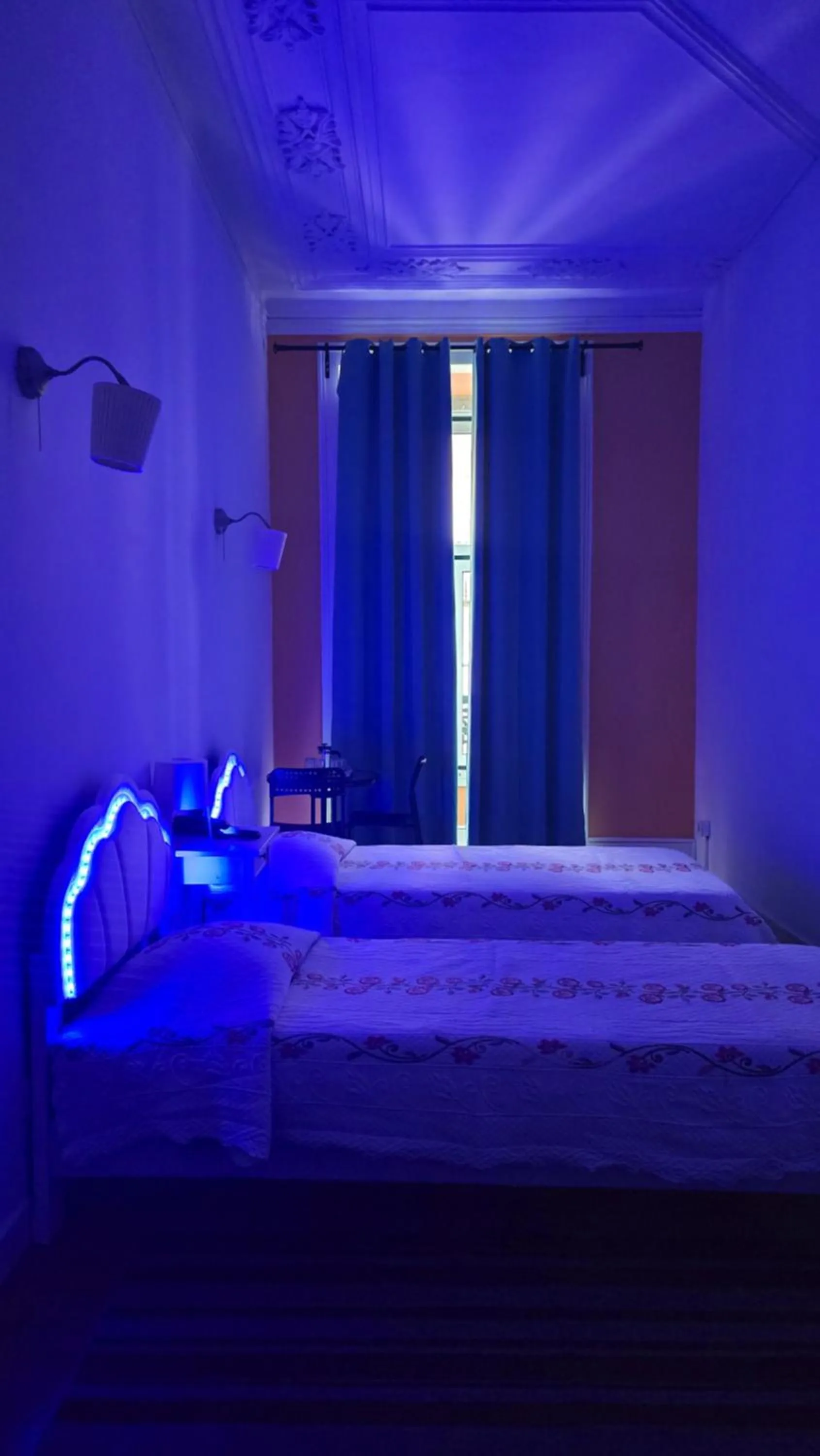 Bed in Cenário Catita Hostel