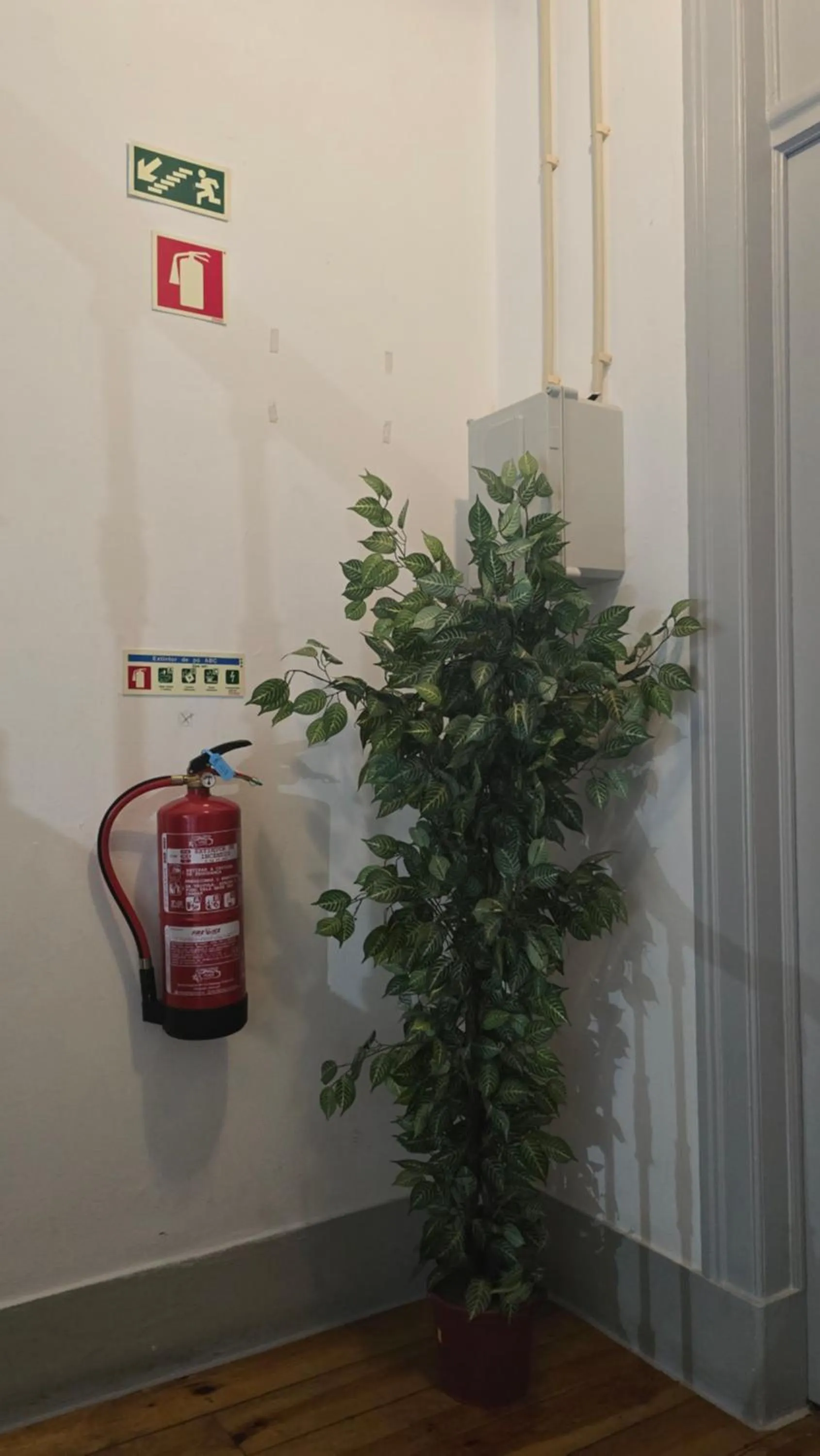 Cenário Catita Hostel