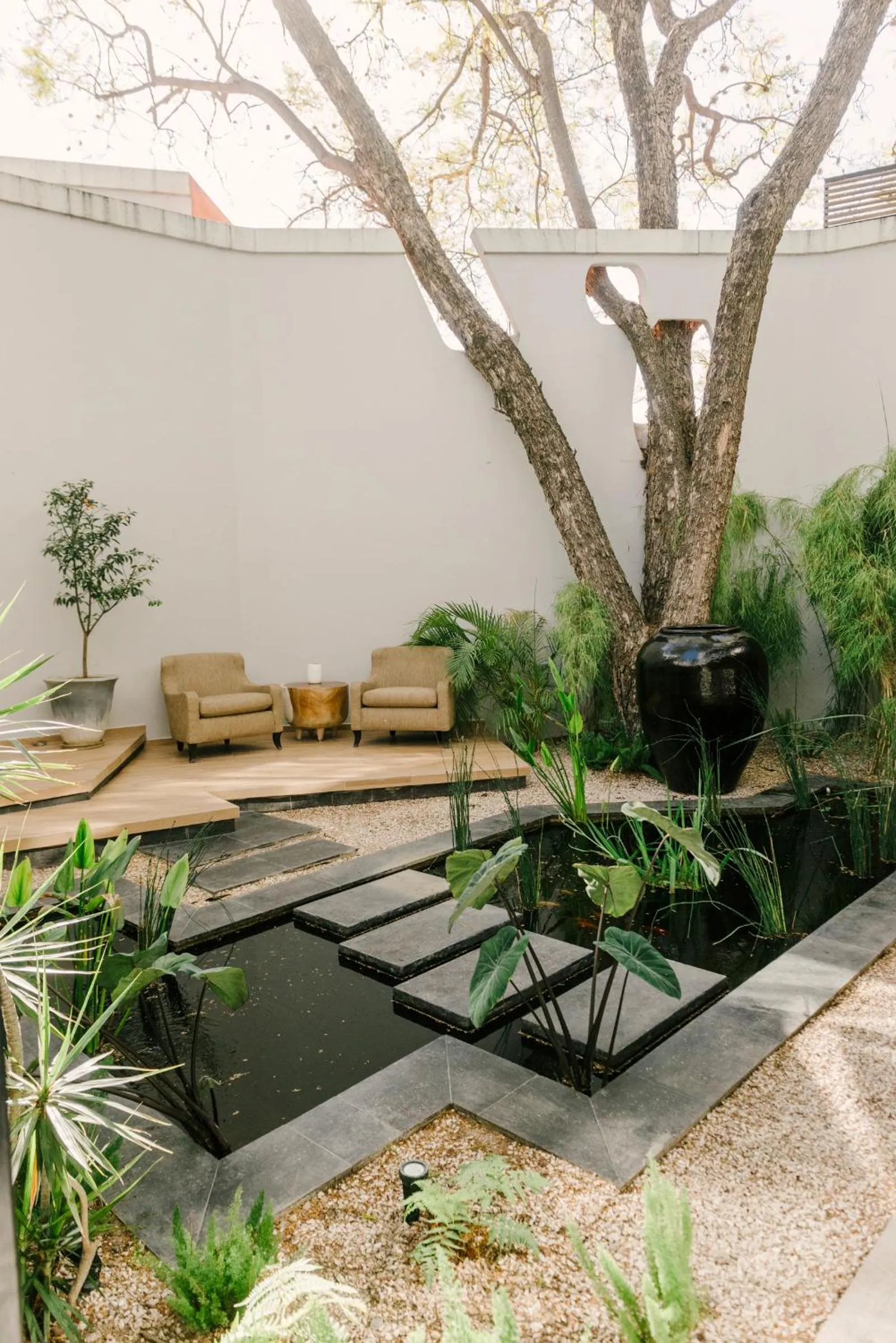 Garden in Hotel Matilda, a Member of Design Hotels