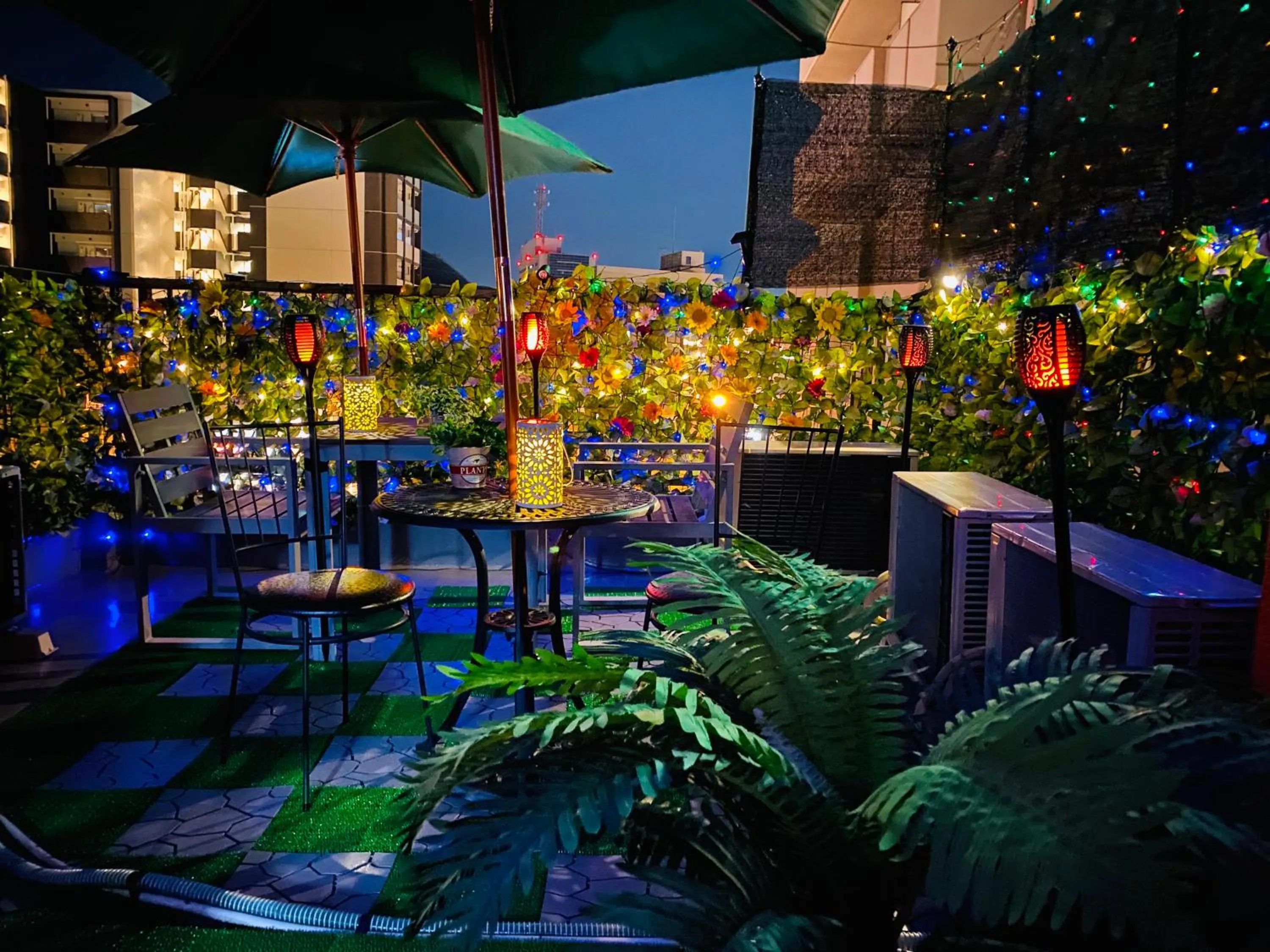 Garden view in Hotel Orange House