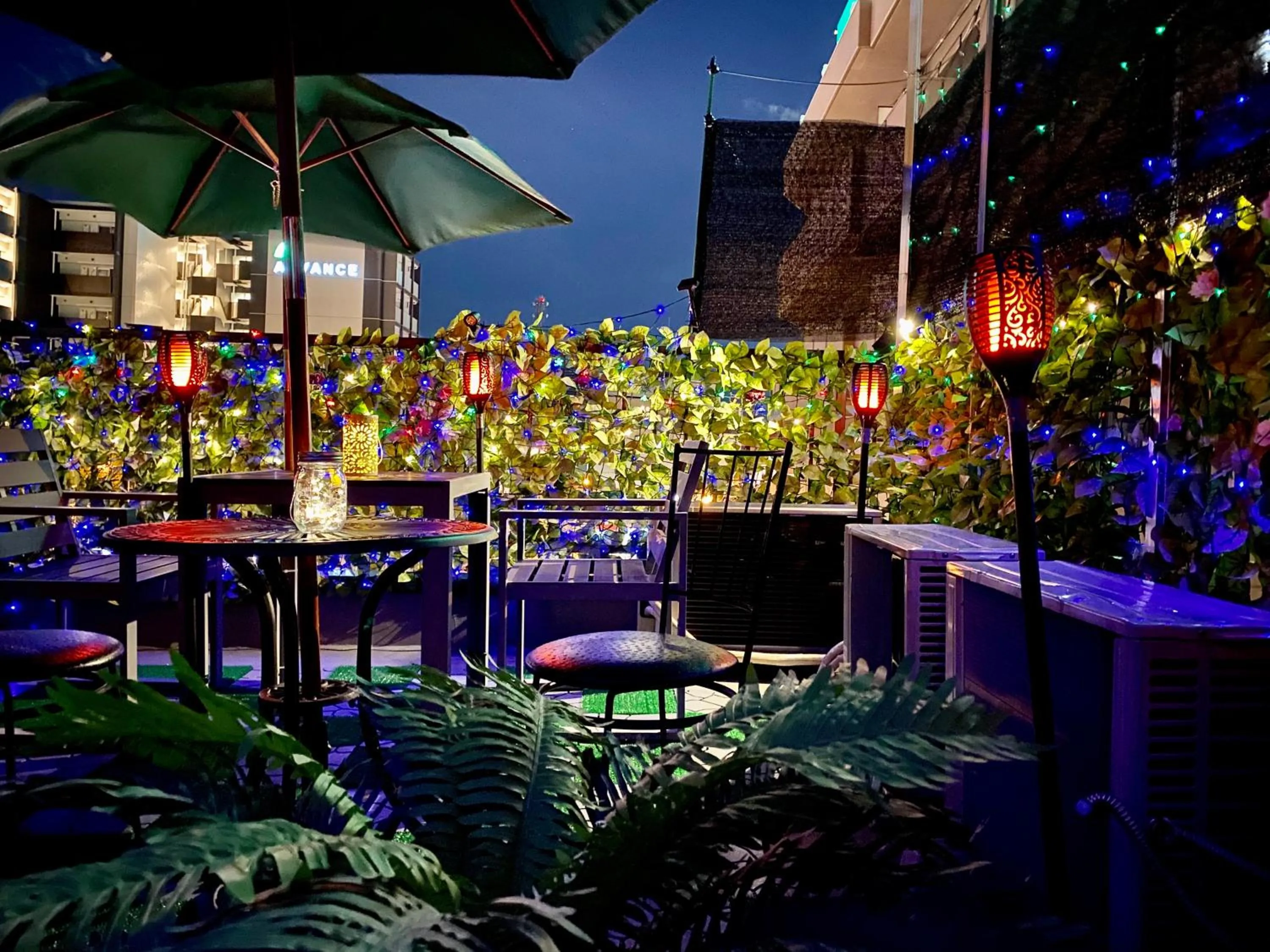 Garden view in Hotel Orange House