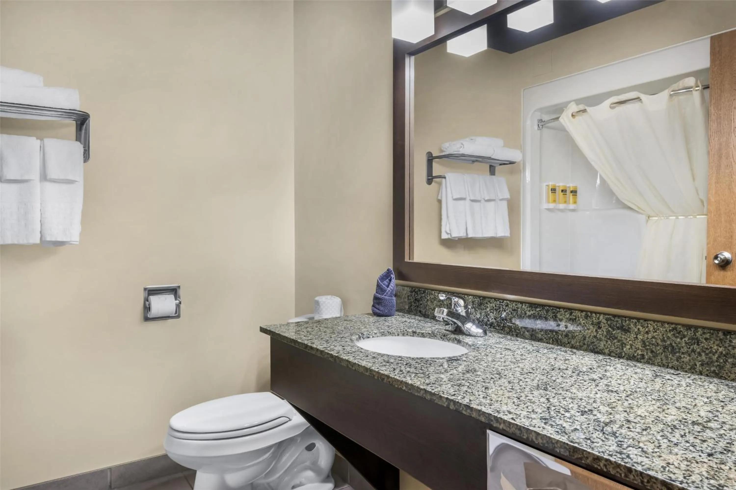Bathroom in BEST WESTERN PLUS Saint John Hotel & Suites