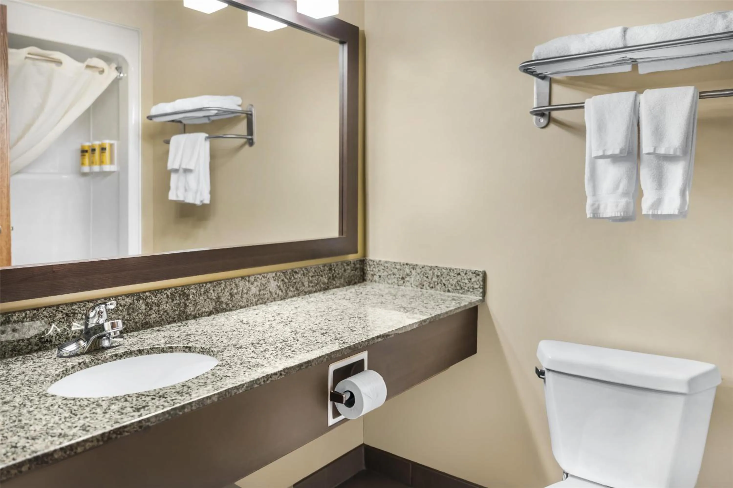 Bathroom in BEST WESTERN PLUS Saint John Hotel & Suites