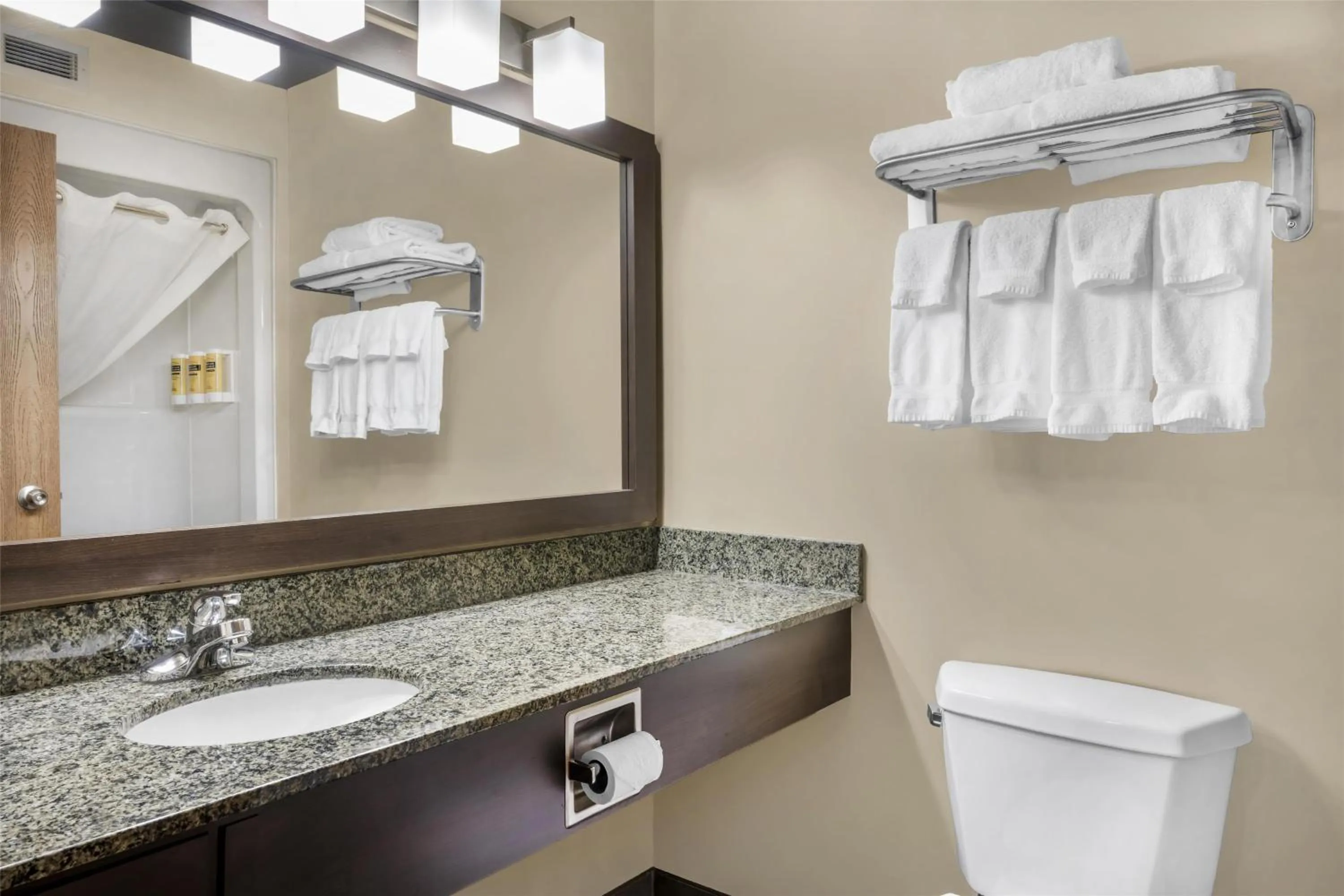 Bathroom in BEST WESTERN PLUS Saint John Hotel & Suites