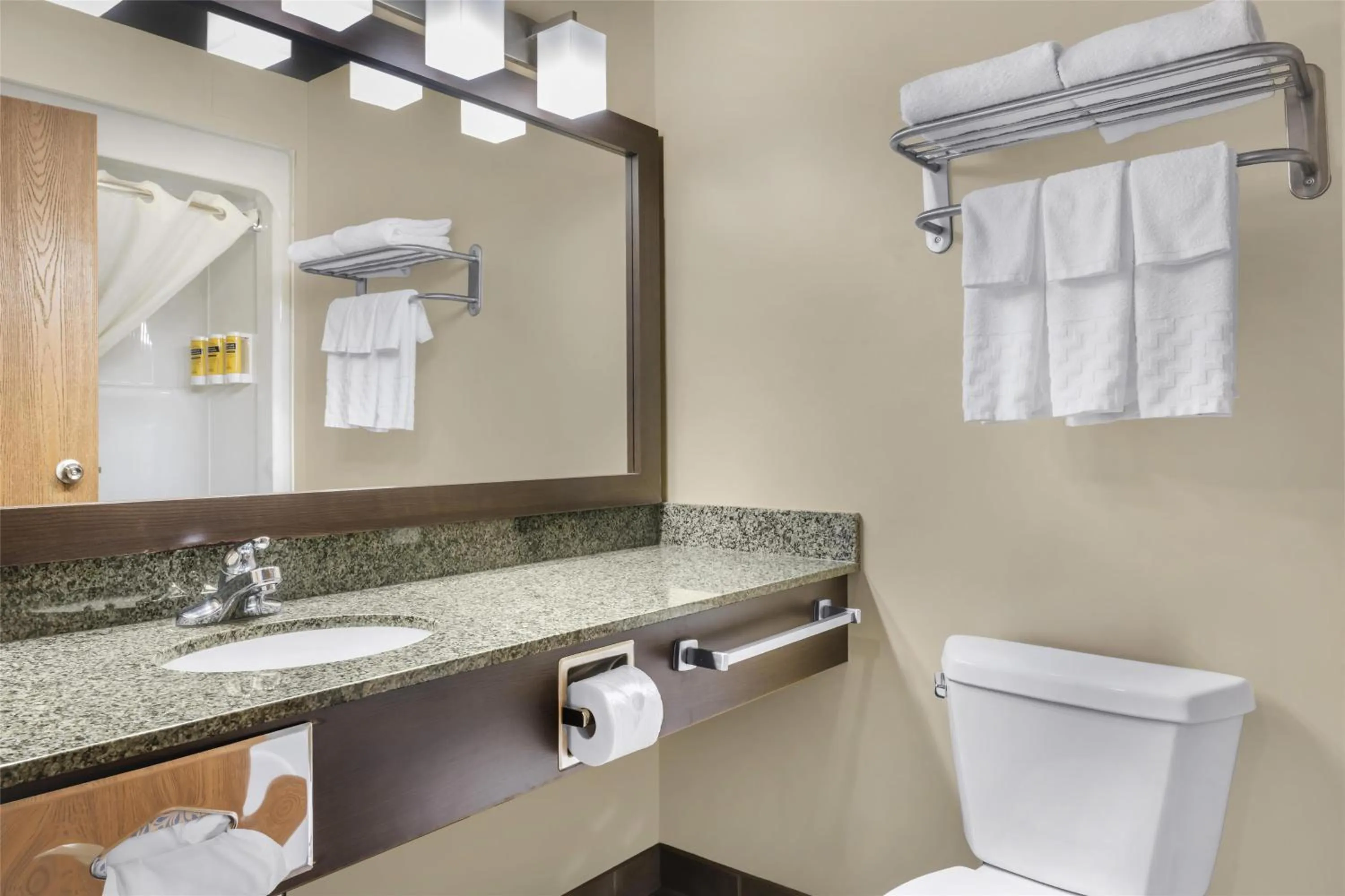 Bathroom in BEST WESTERN PLUS Saint John Hotel & Suites