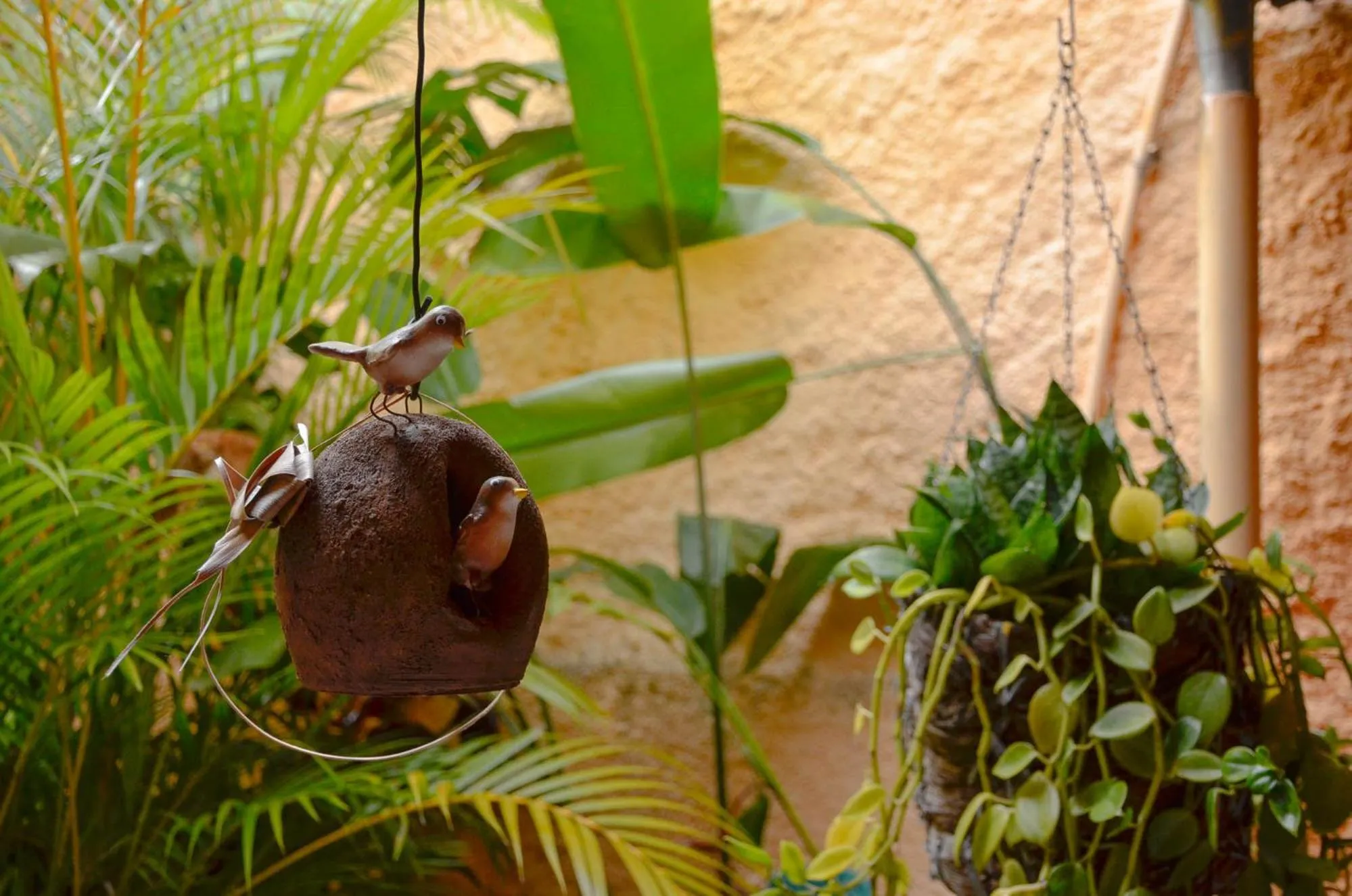 Patio in Pousada Portomares