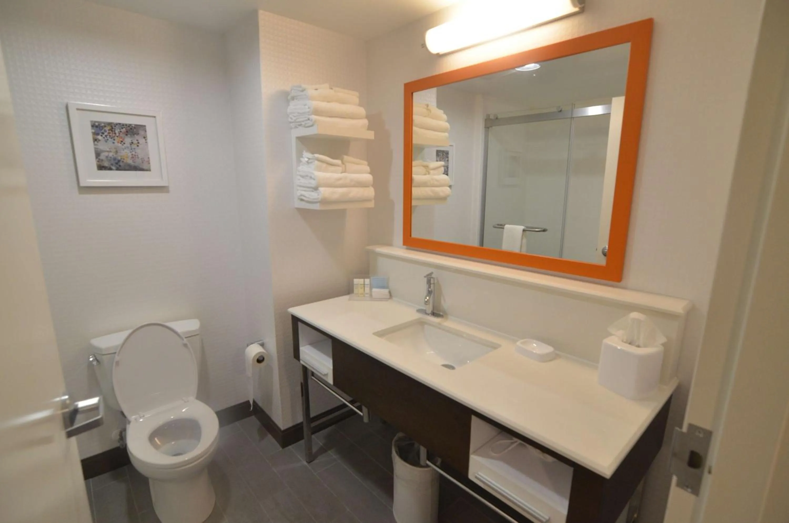 Bathroom in Hampton Inn Fort Payne