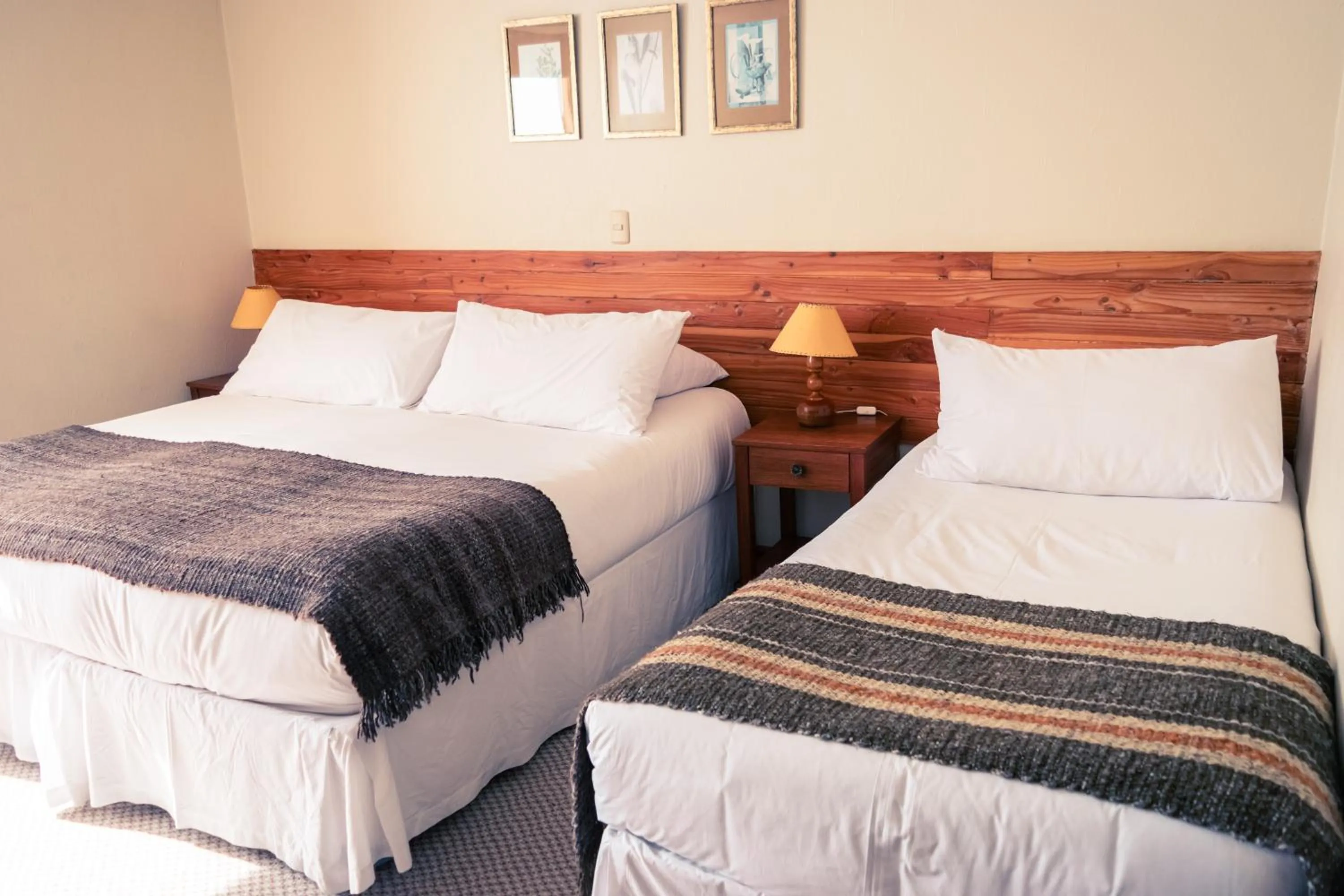 Bed in Hotel Borde Lago