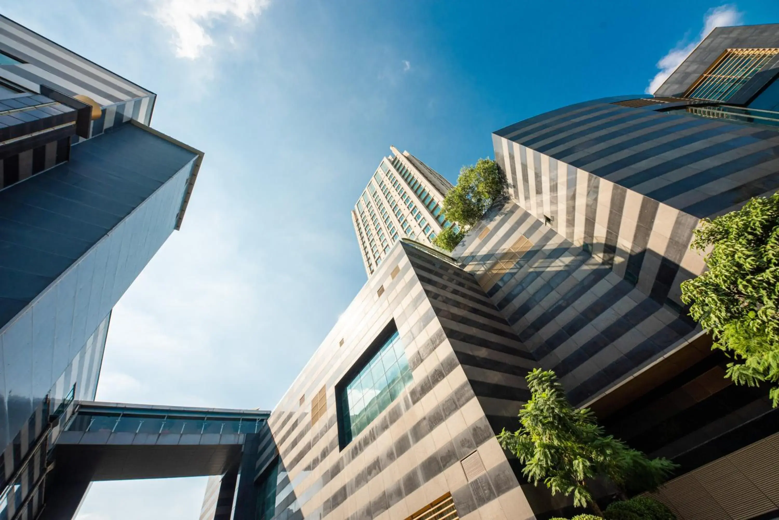 Property building in Shenzhen LANGYUE International Hotel Property building in Shenzhen LANGYUE International Hotel