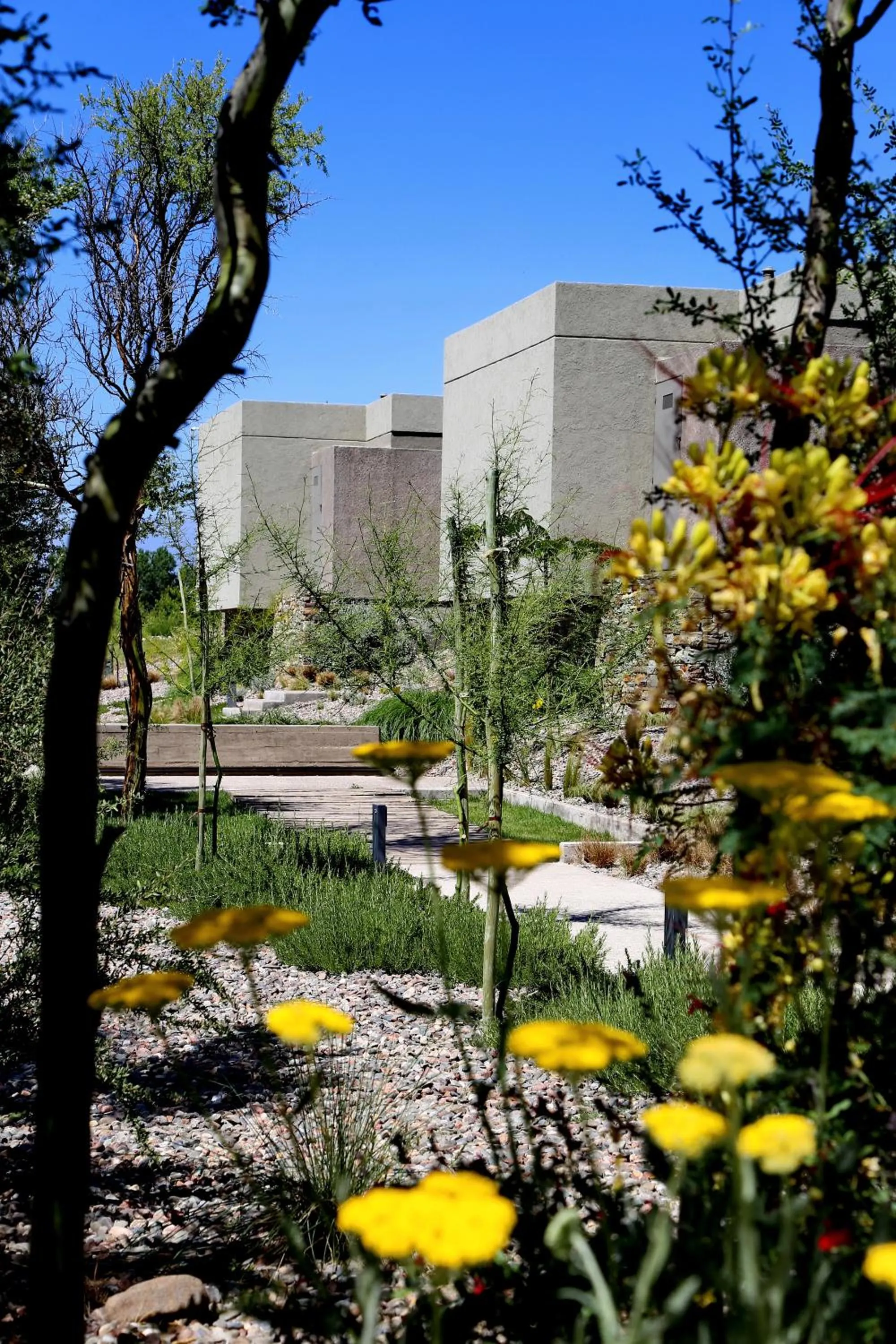 Garden in Casa Petrini