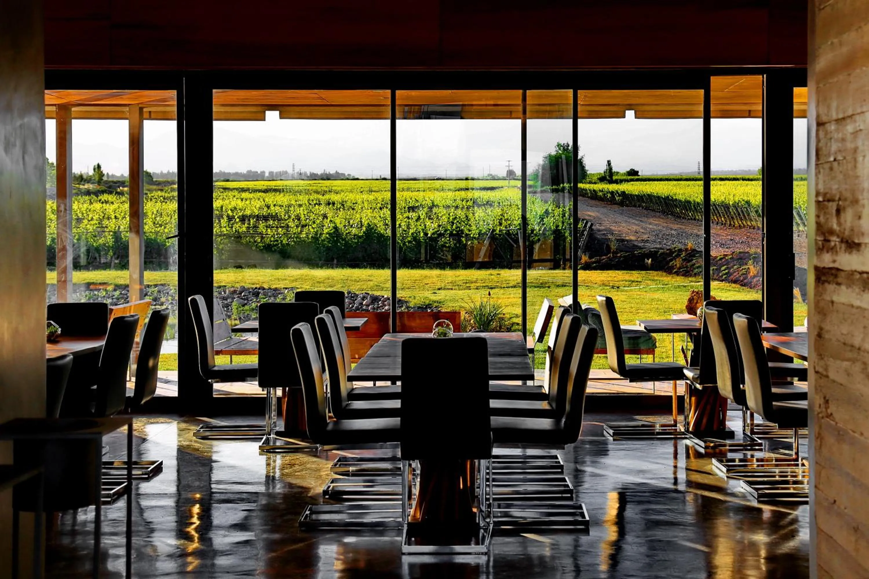 Restaurant/places to eat in Casa Petrini