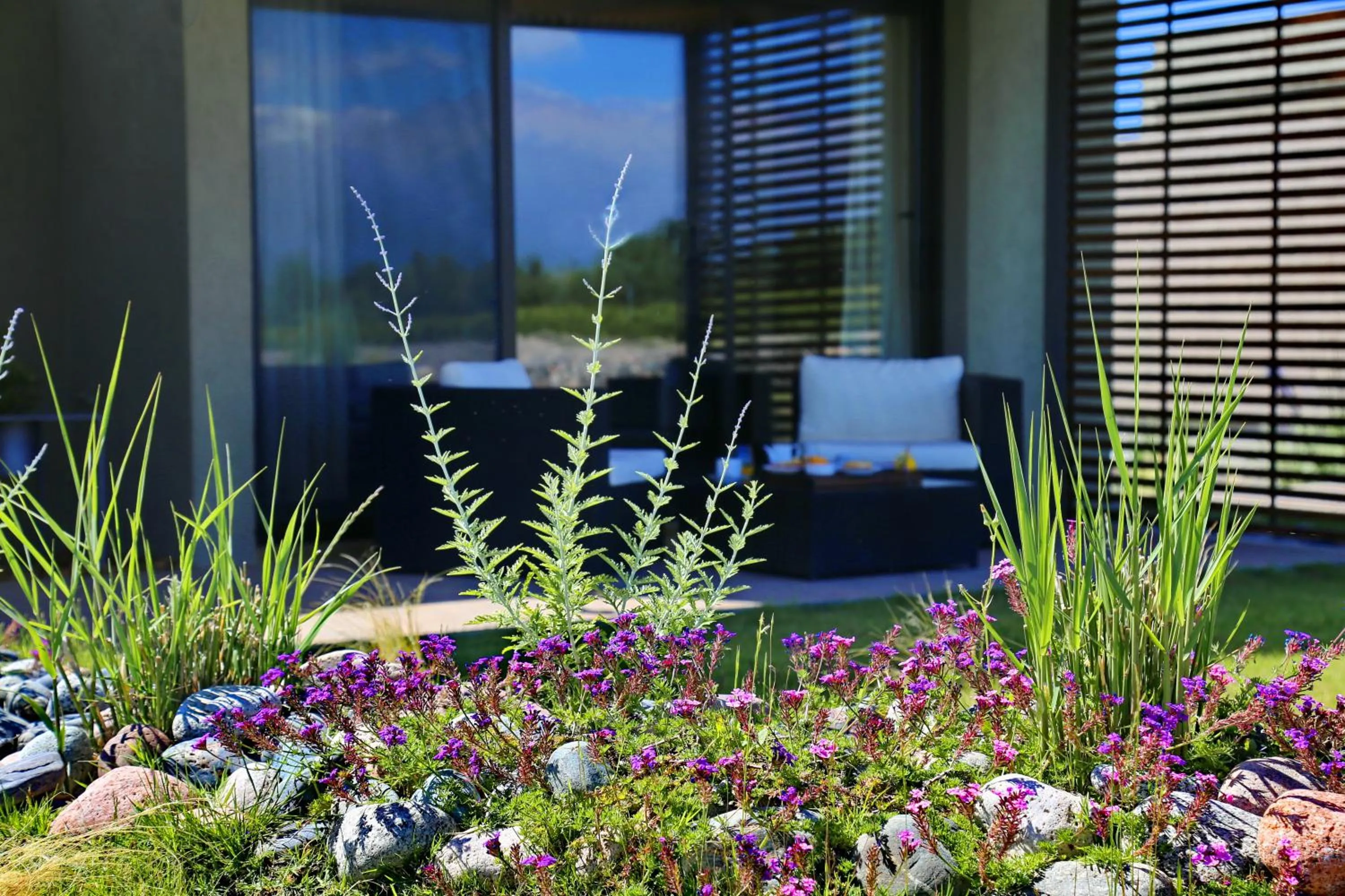 Balcony/Terrace in Casa Petrini