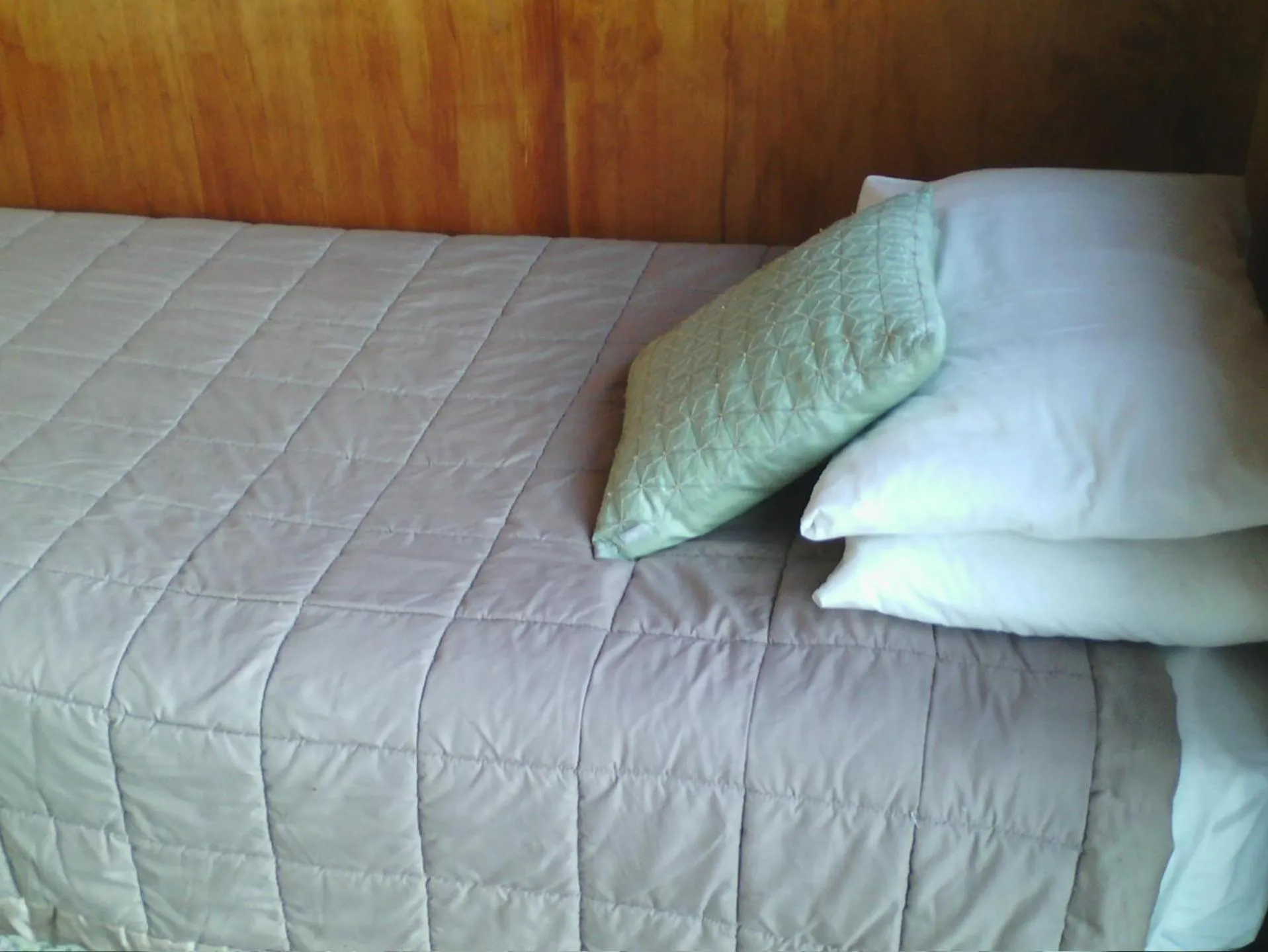 Bed in Wellington 747 Motel